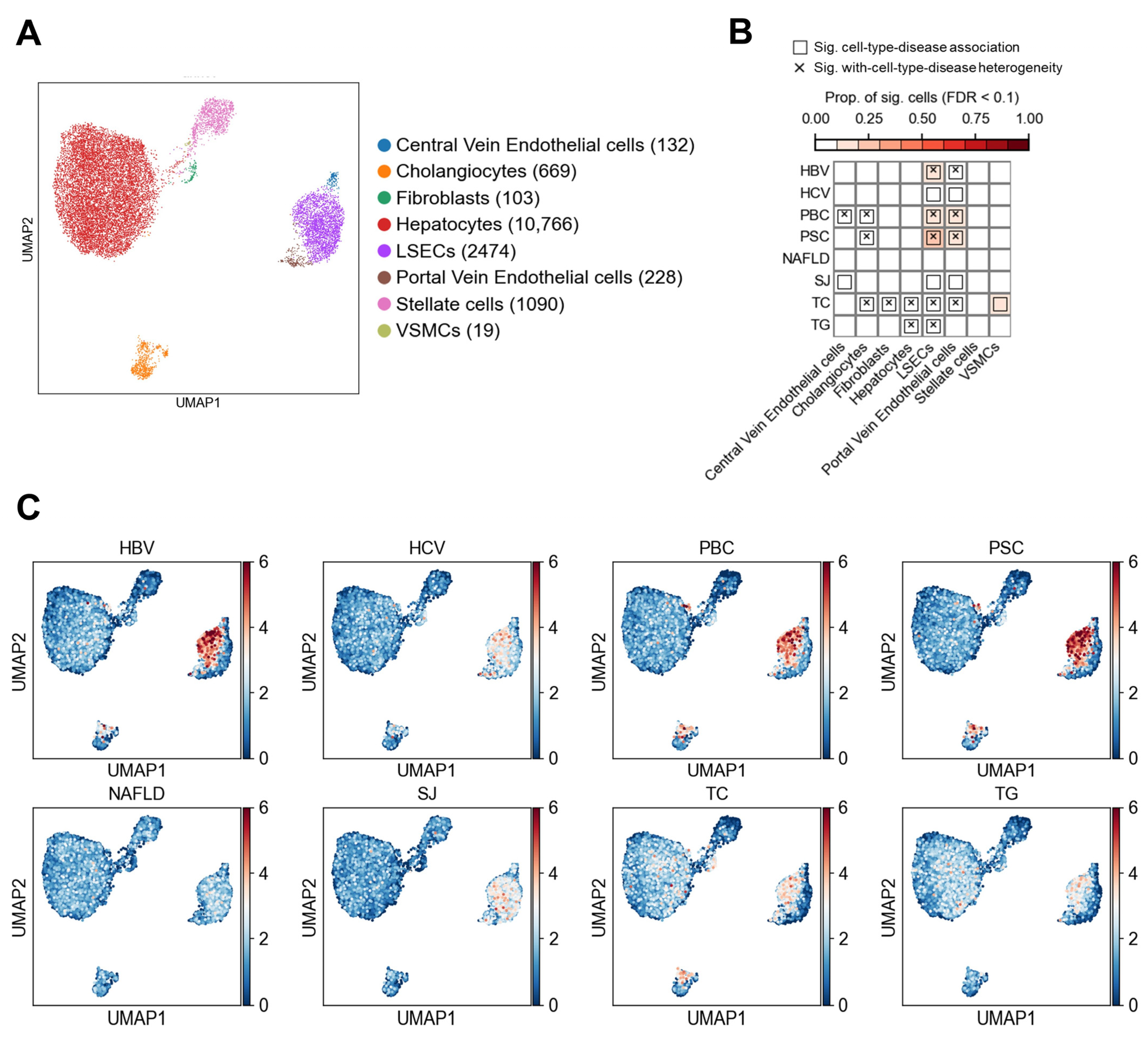 Biology 14 00777 g002