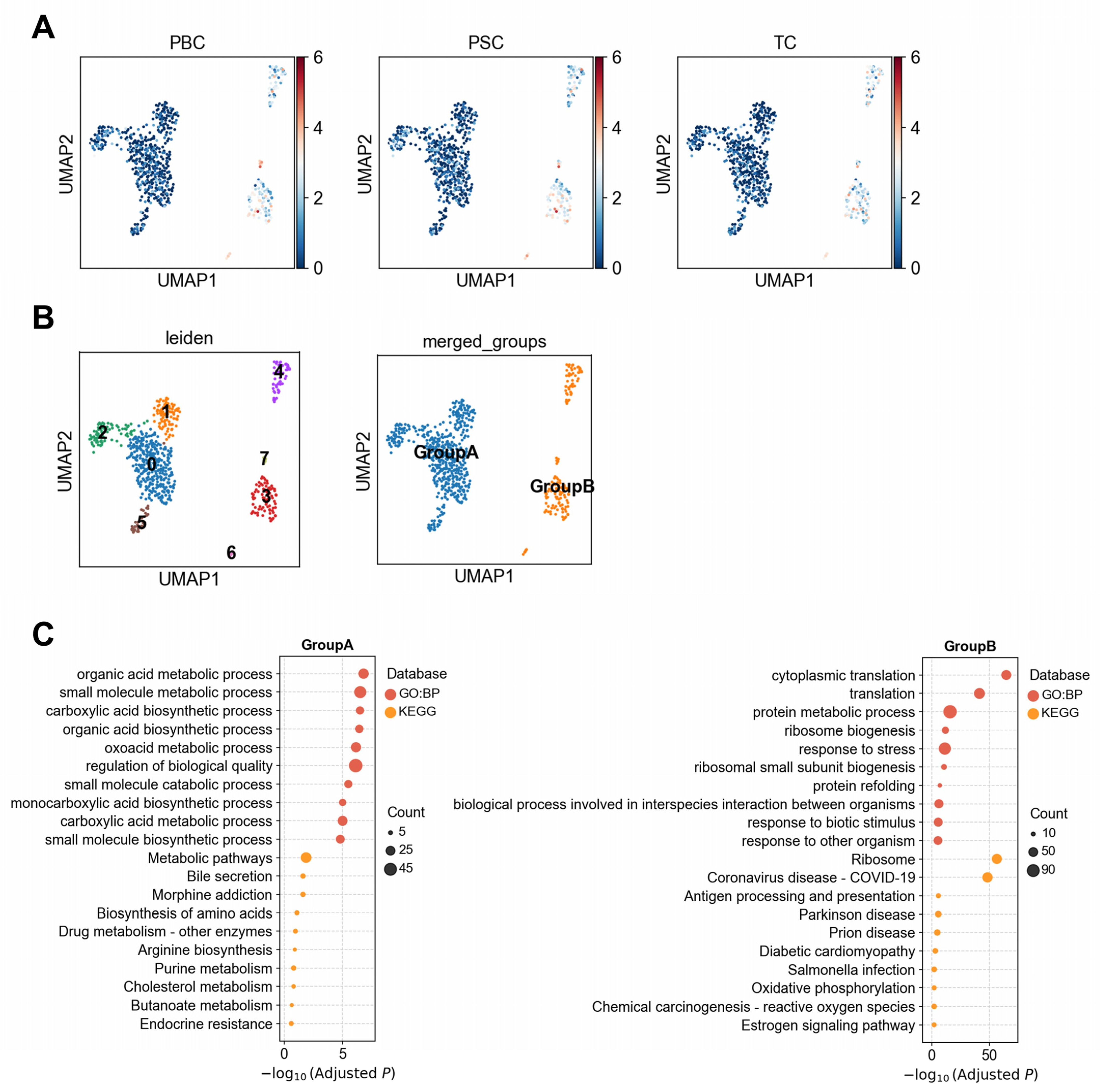 Biology 14 00777 g004
