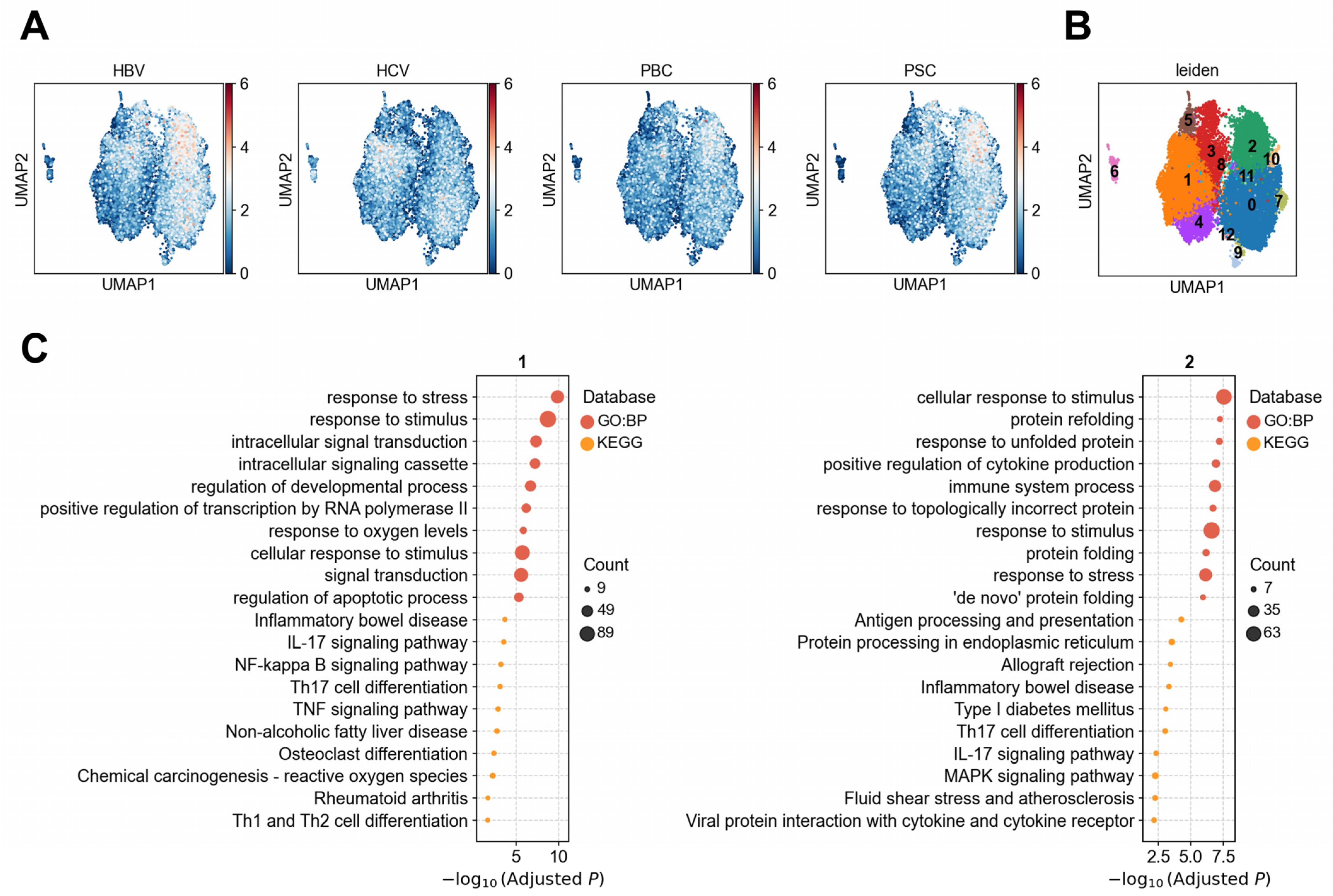Biology 14 00777 g006