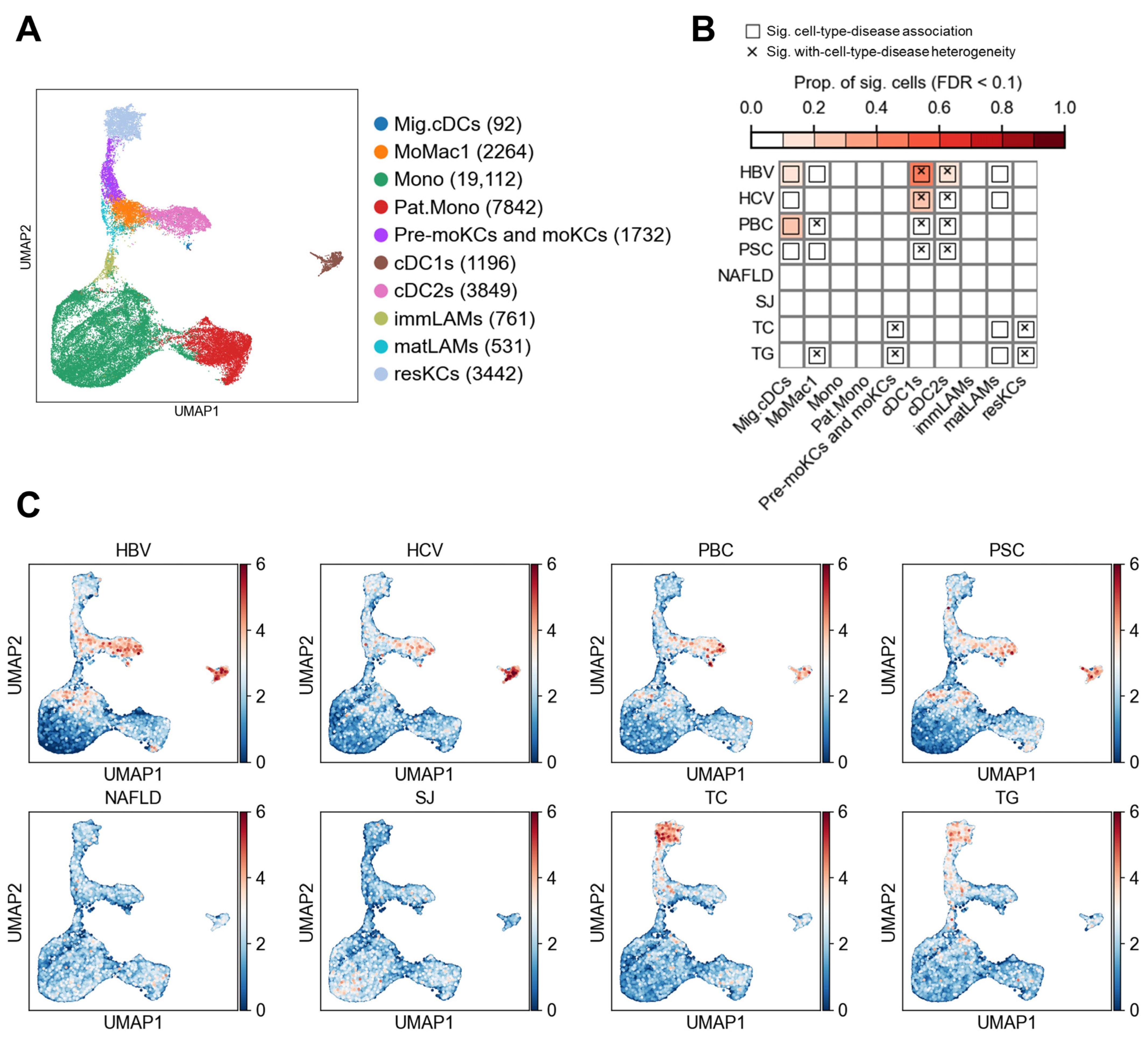 Biology 14 00777 g007
