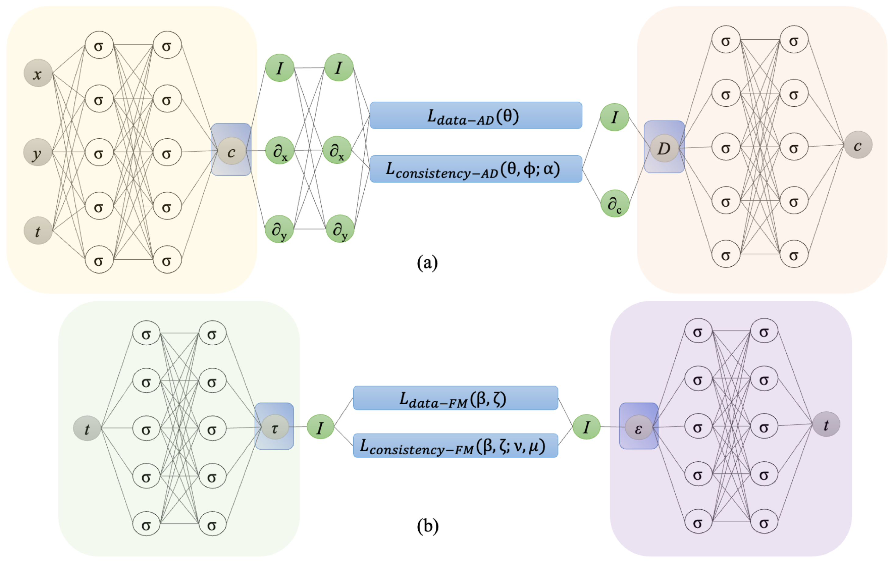 Biology 14 00779 g001