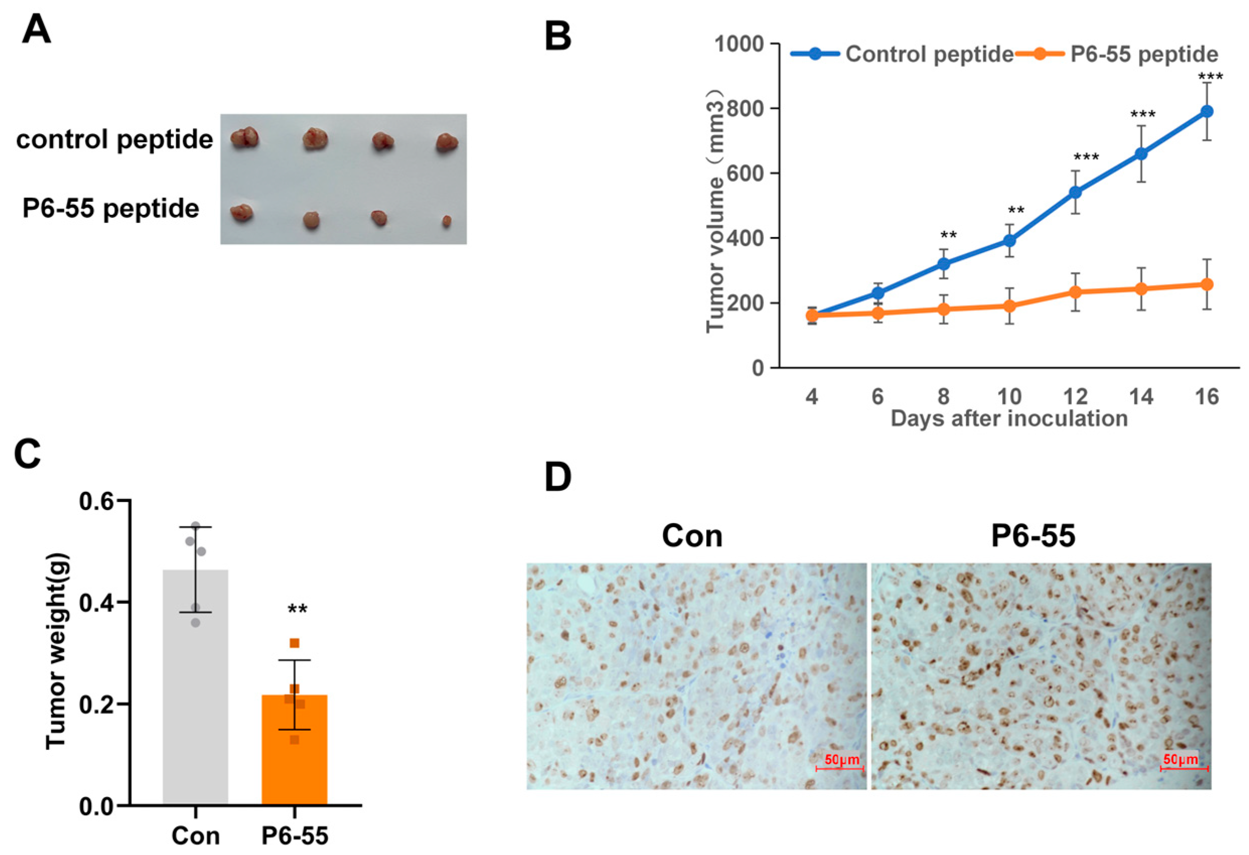 Biology 14 00780 g004
