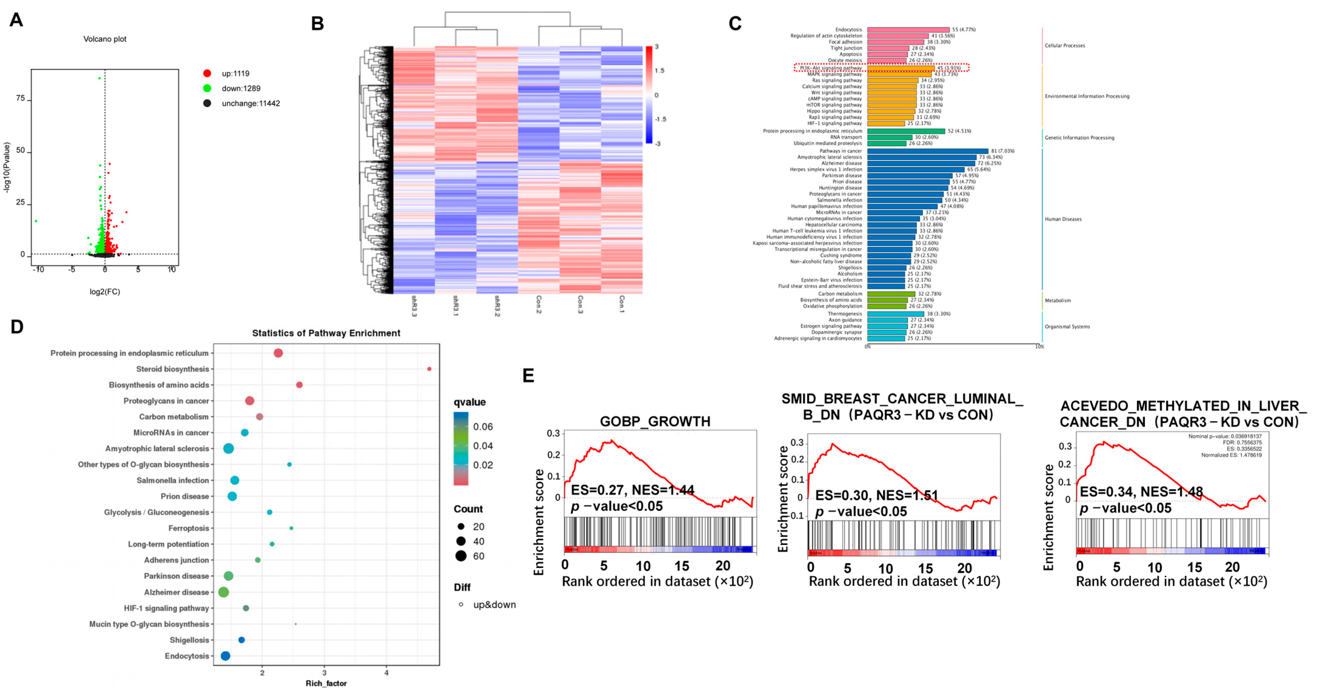 Biology 14 00780 g005