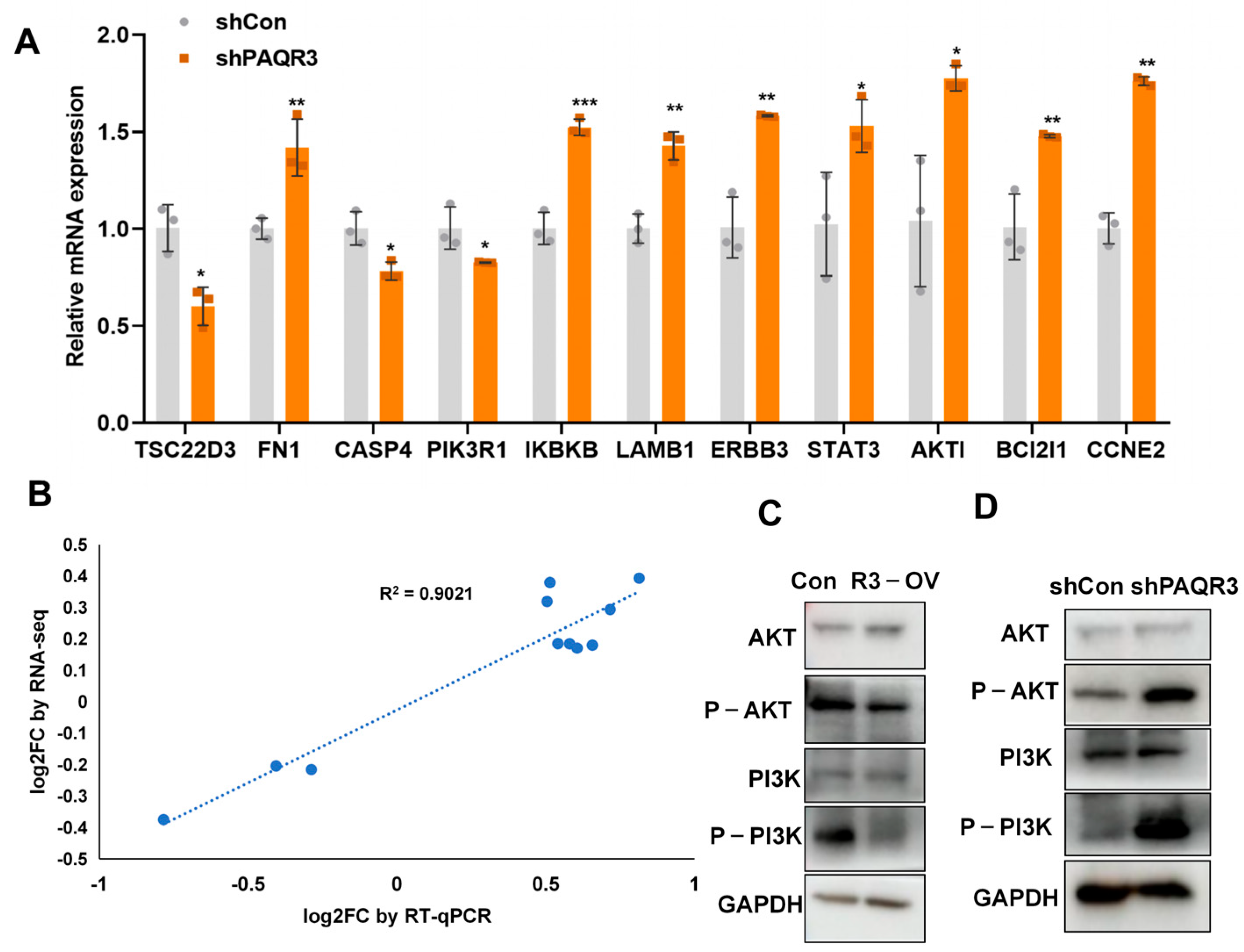 Biology 14 00780 g006