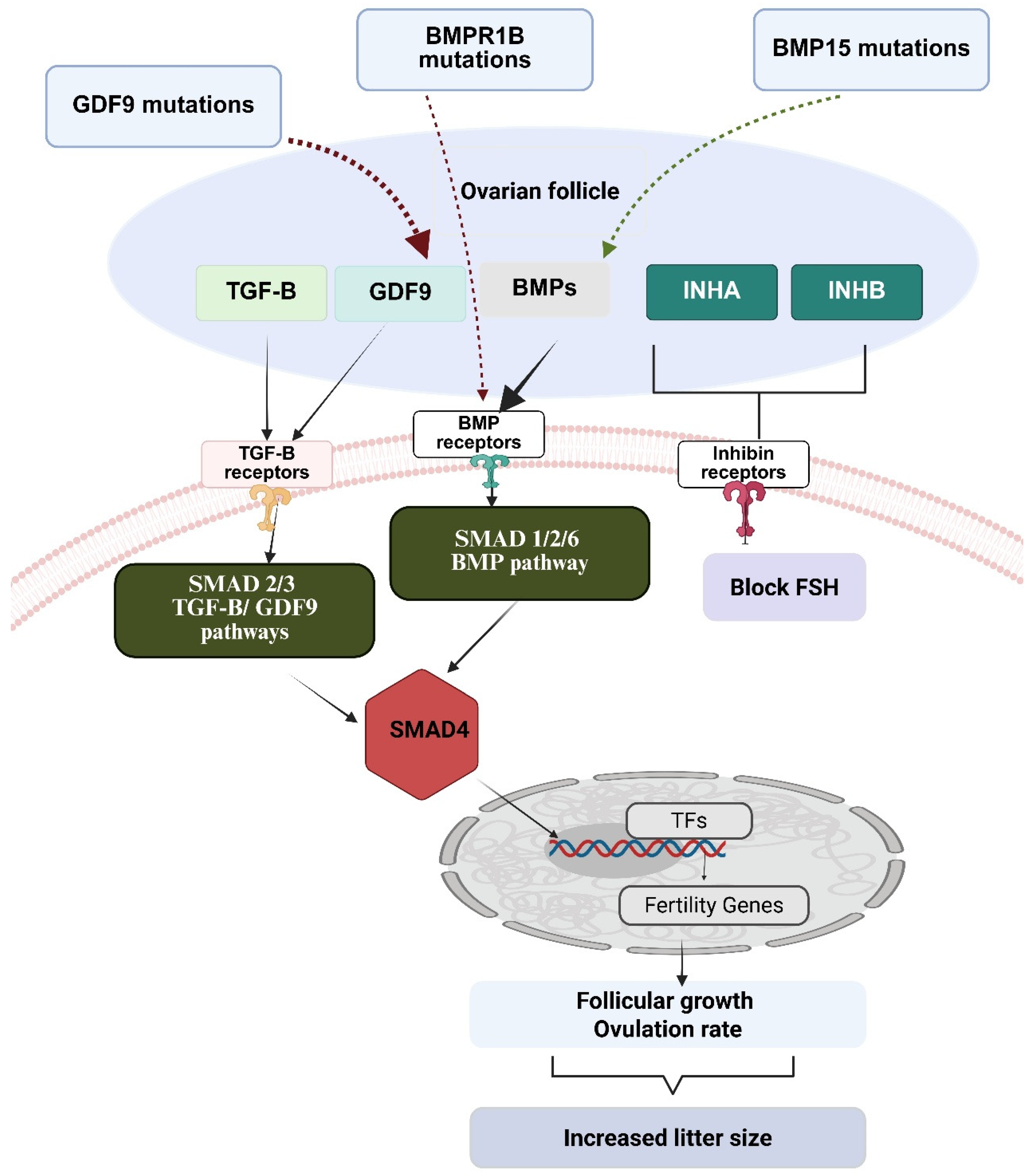 Biology 14 00786 g002