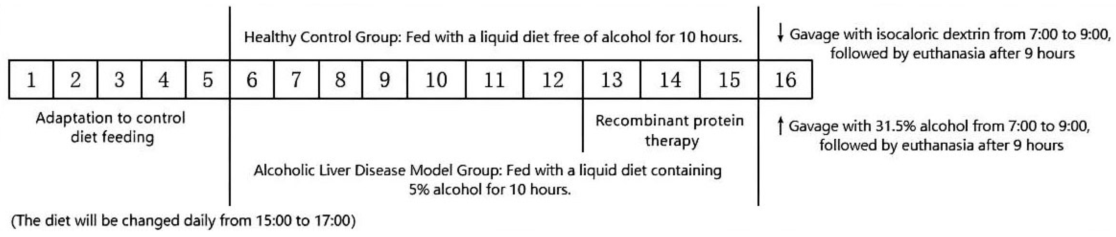 Biology 14 00790 g002