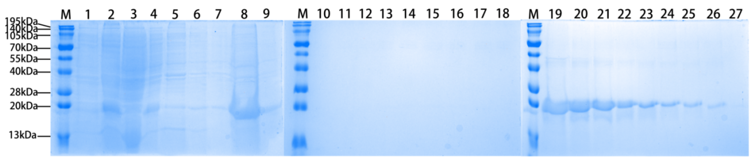 Biology 14 00790 g003