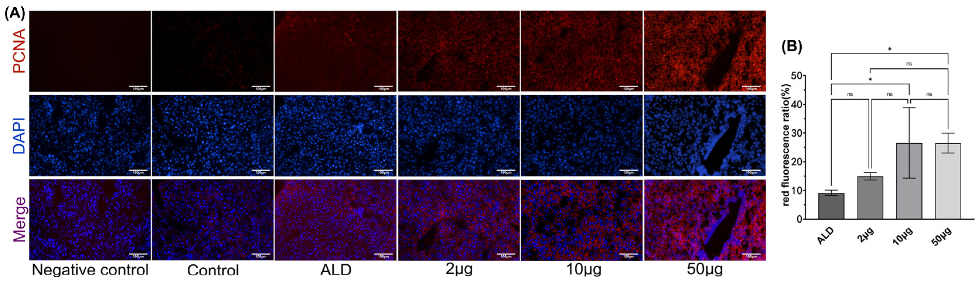 Biology 14 00790 g006