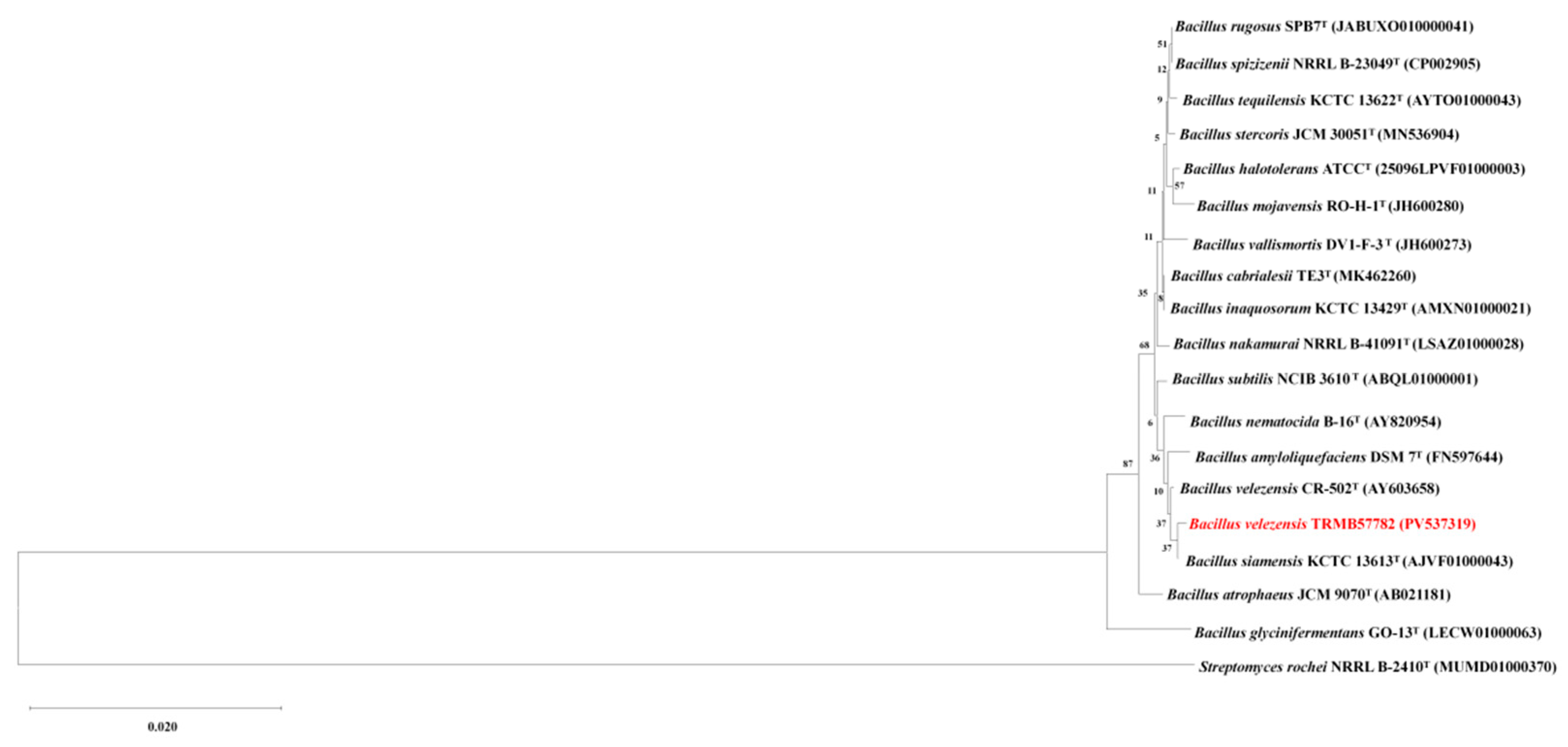 Biology 14 00793 g002