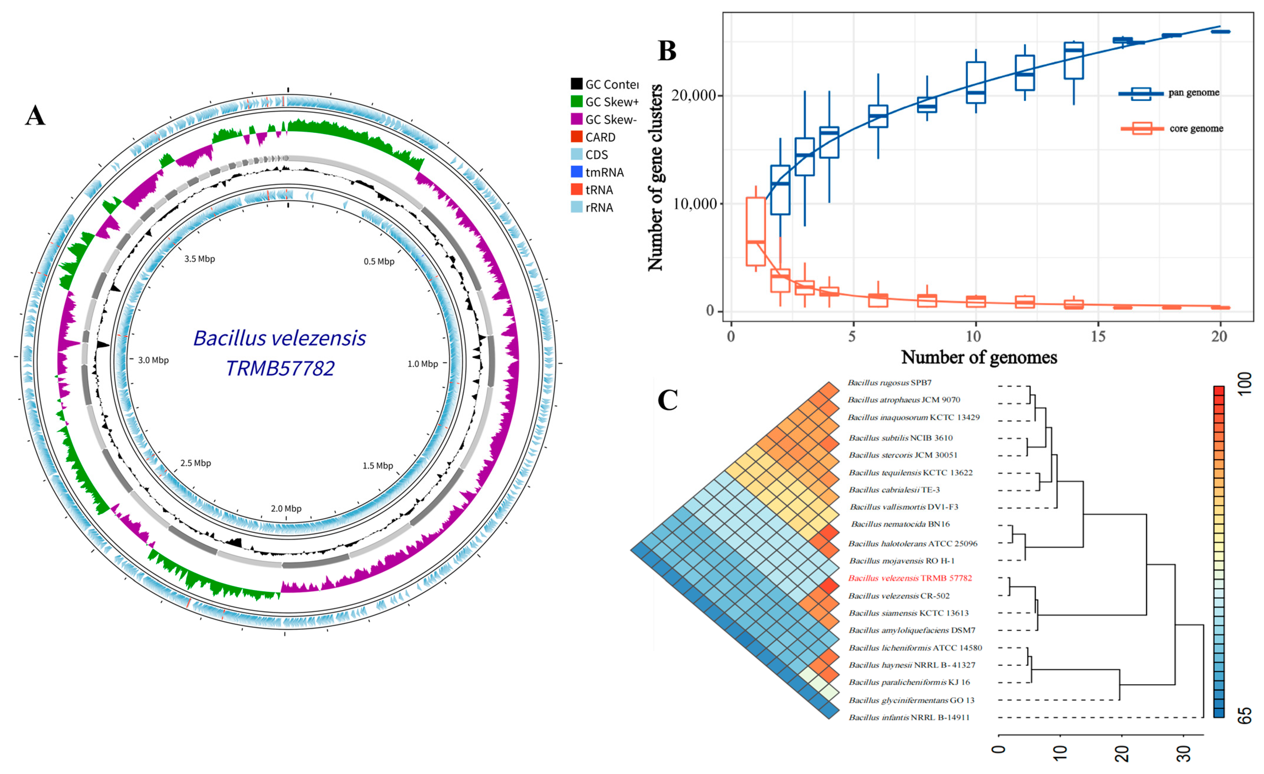 Biology 14 00793 g003