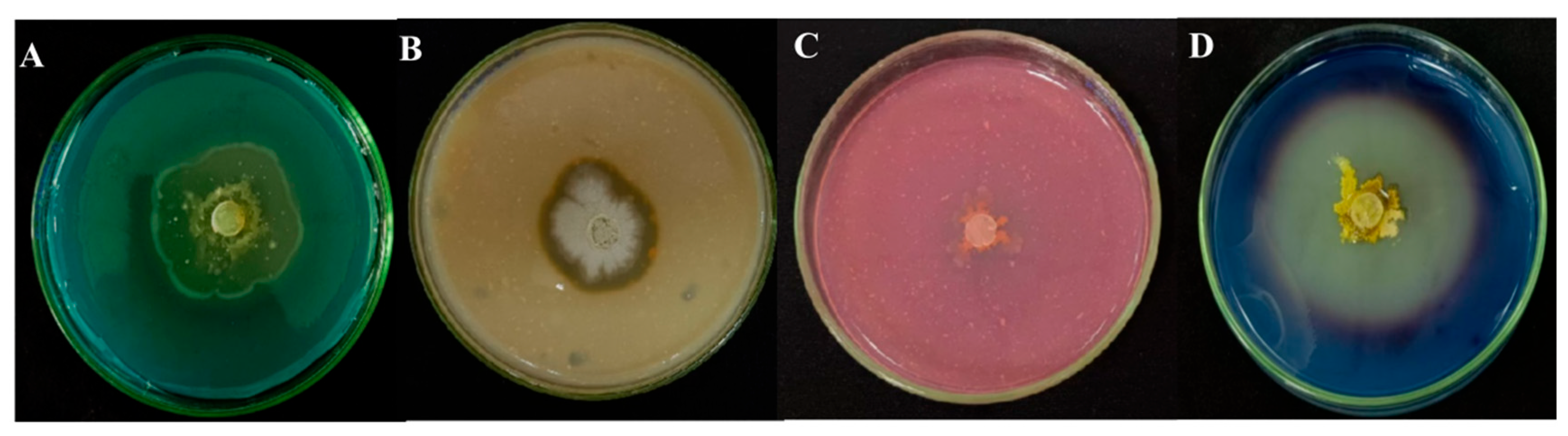Biology 14 00793 g008