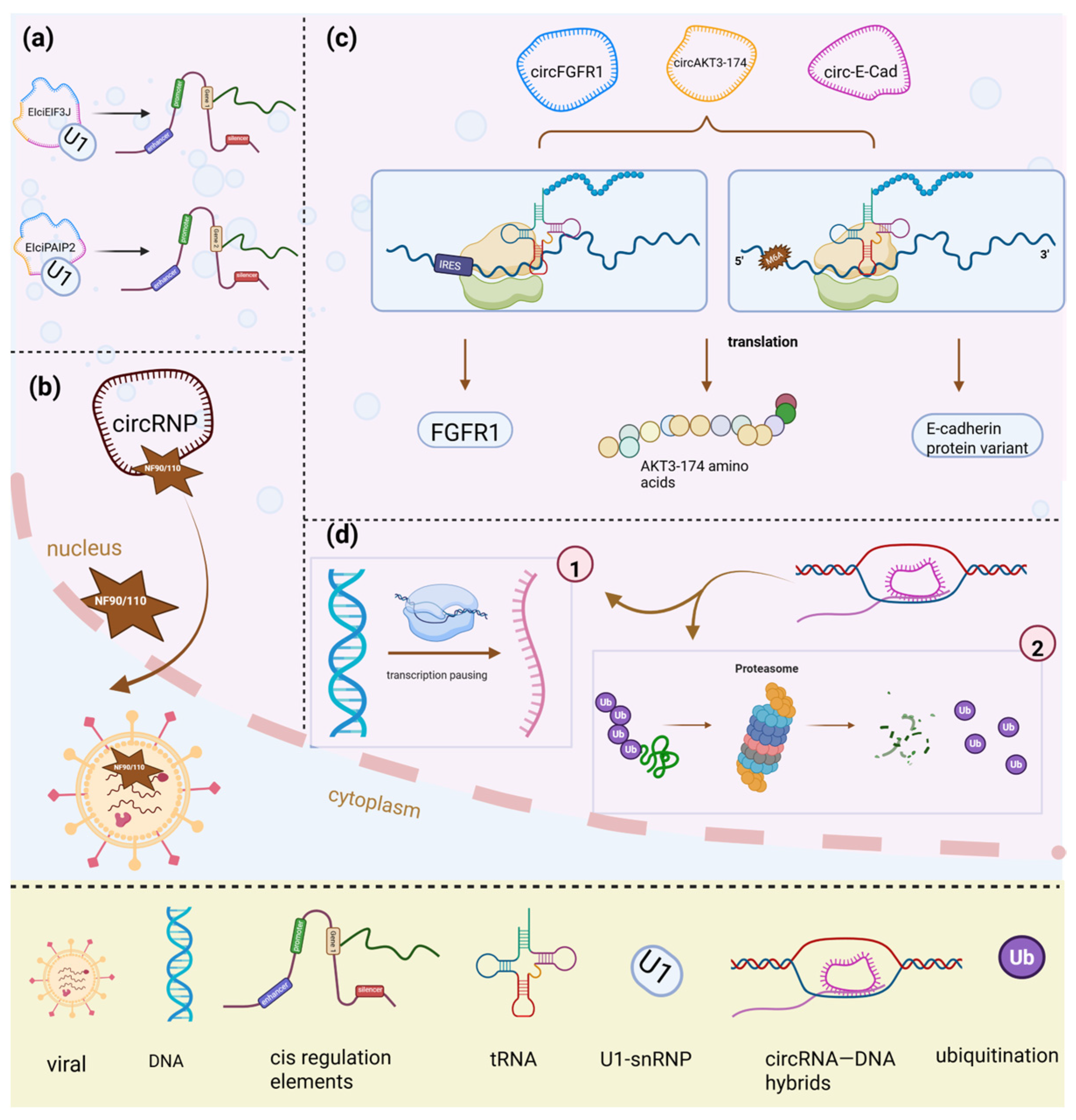 Biology 14 00795 g002