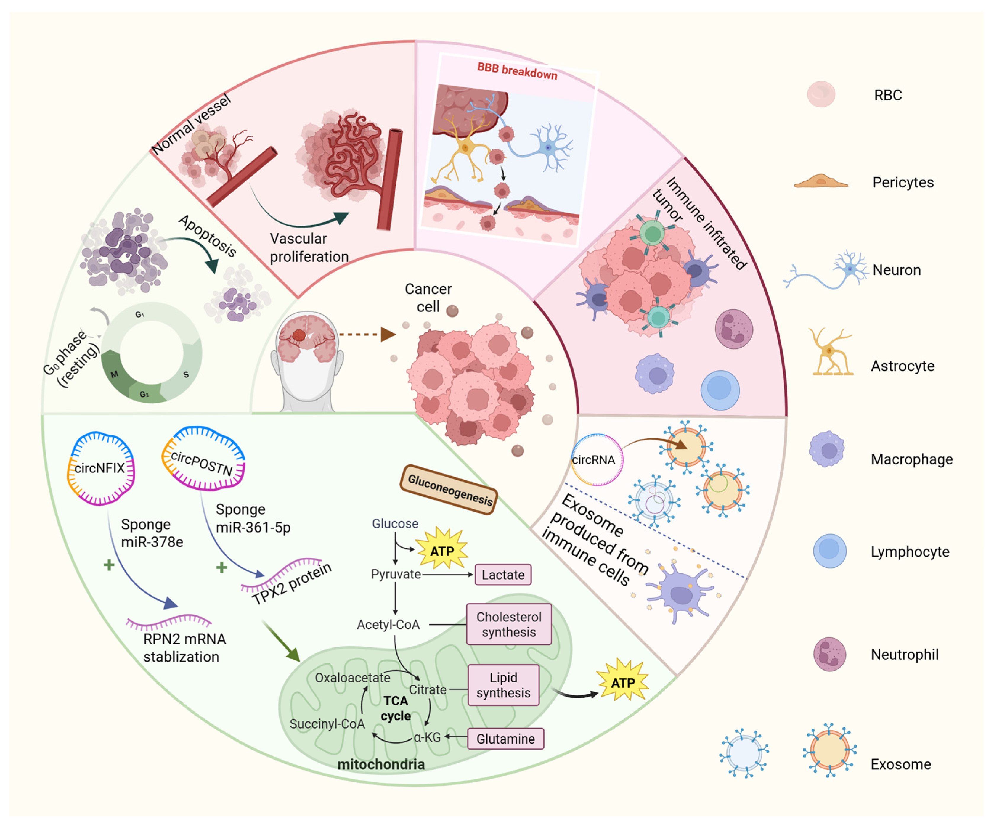 Biology 14 00795 g003