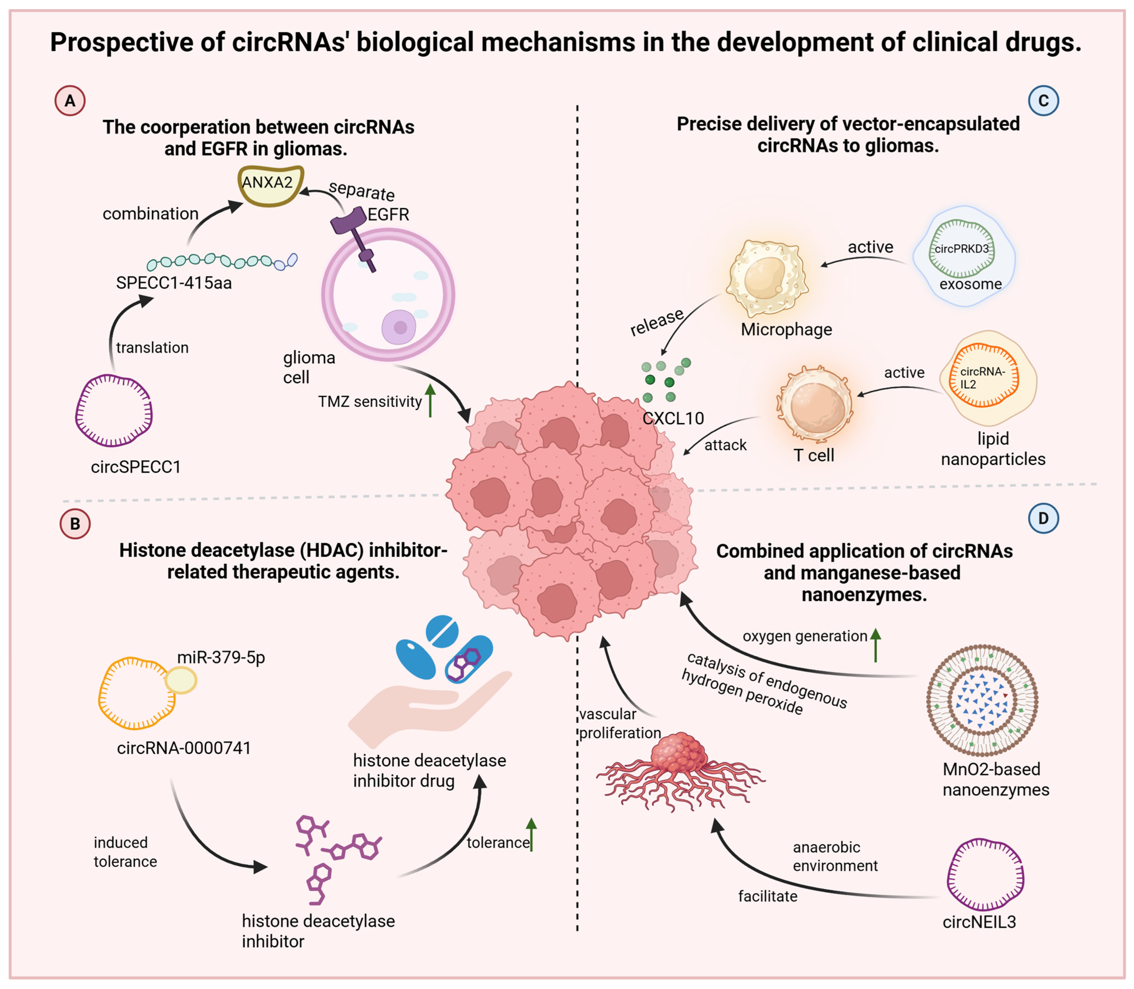Biology 14 00795 g004