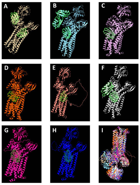 Metabolic Responses, Uptake, and Export of Copper in