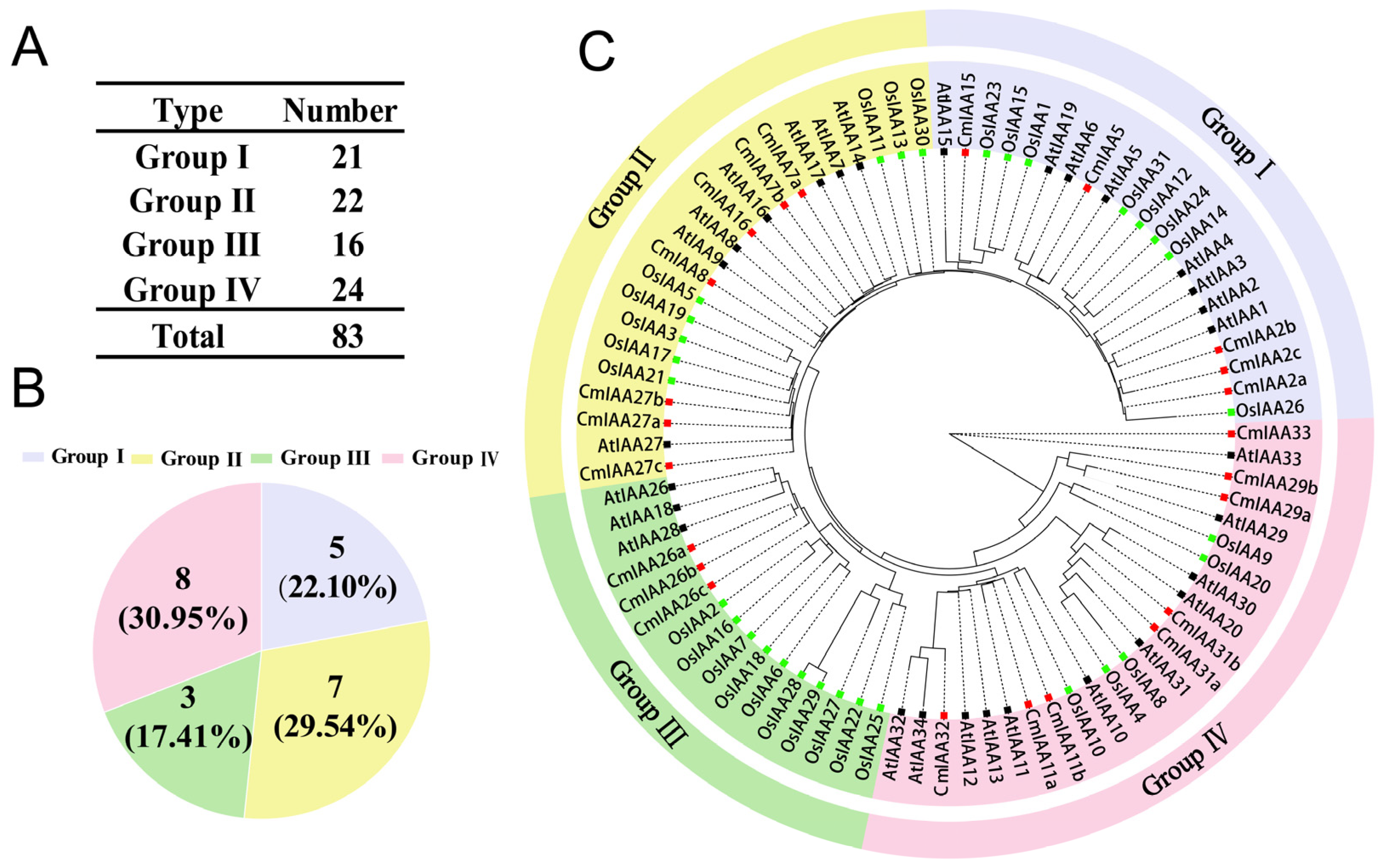 Biology 14 00806 g001