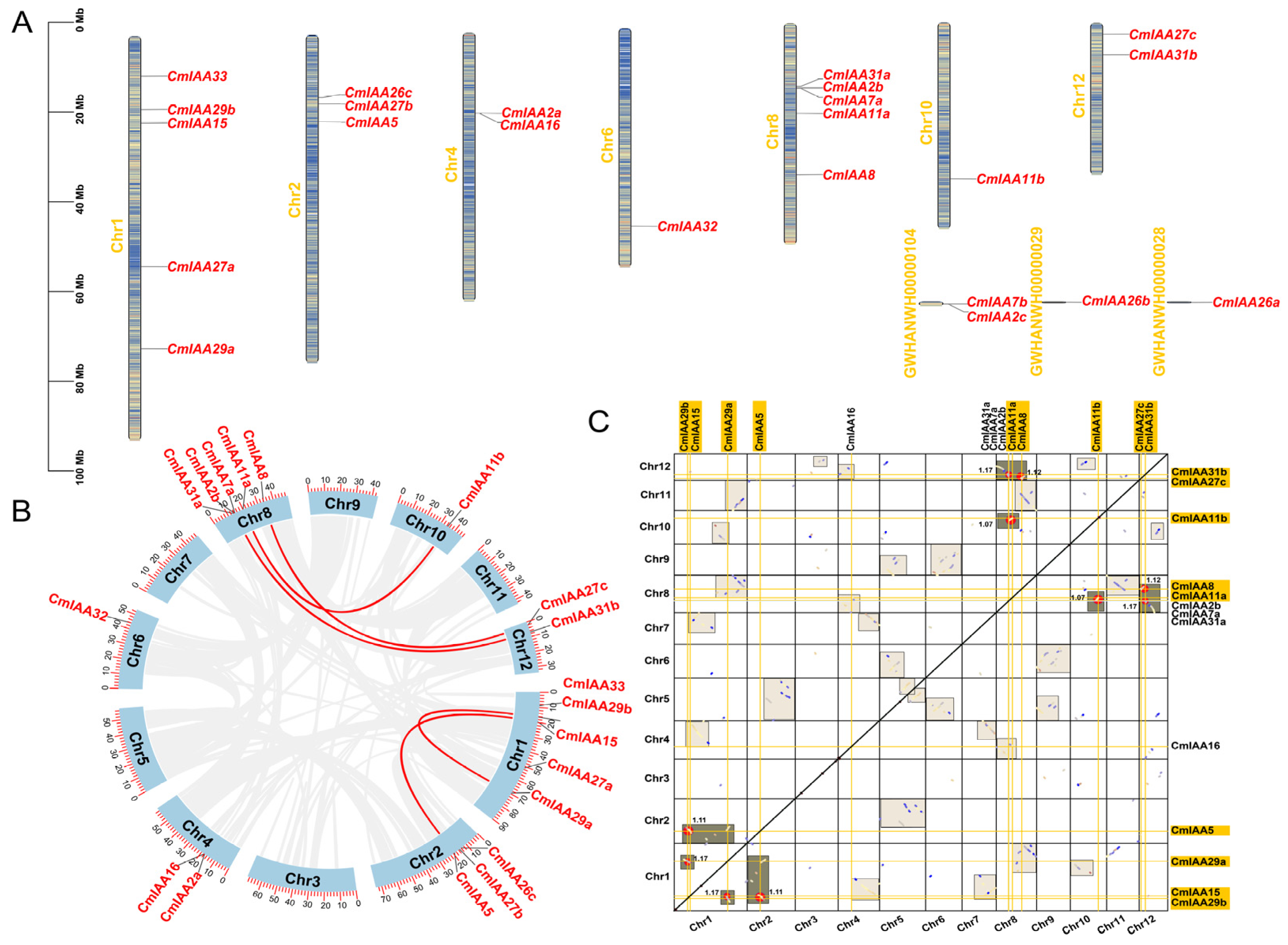 Biology 14 00806 g003