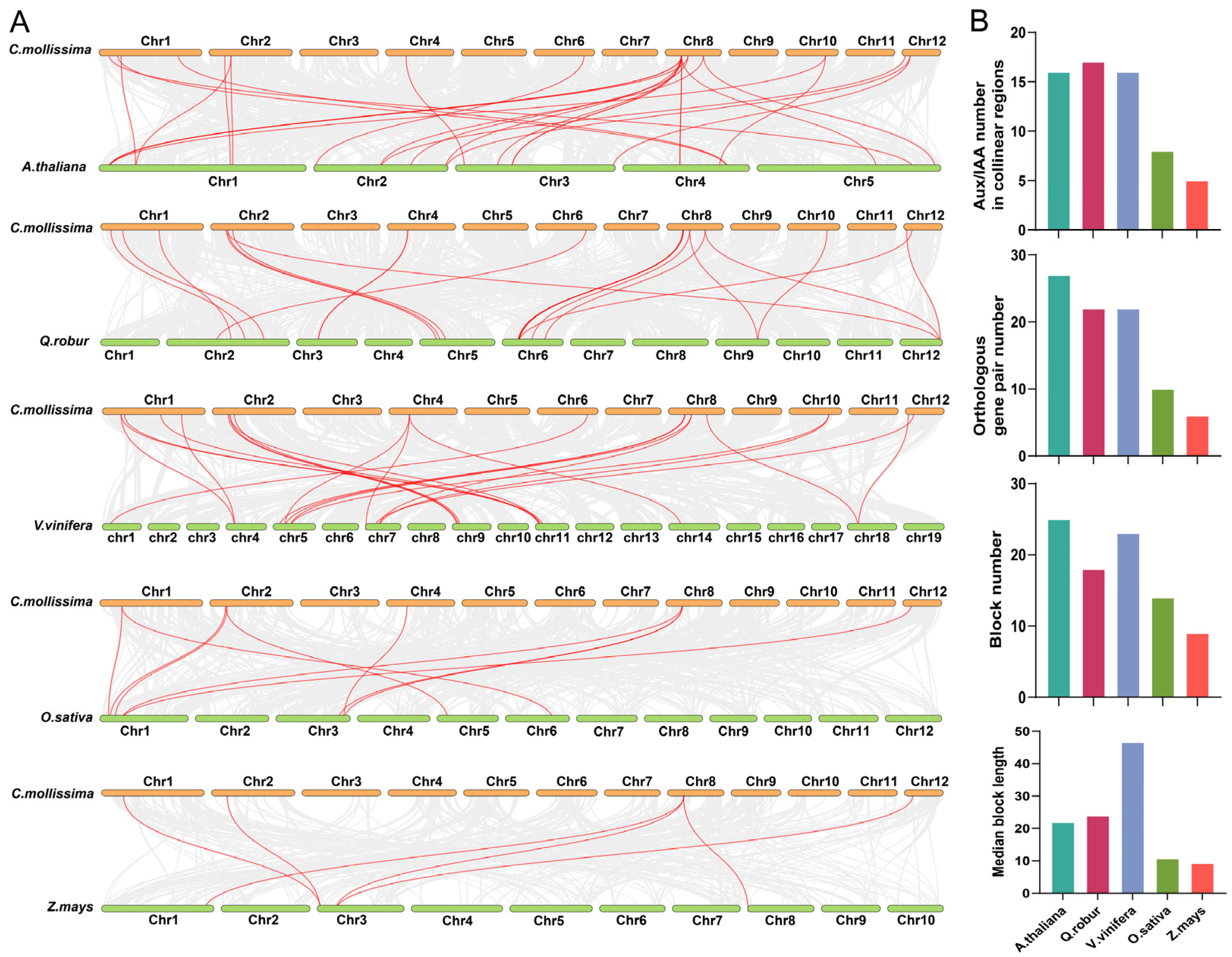 Biology 14 00806 g004