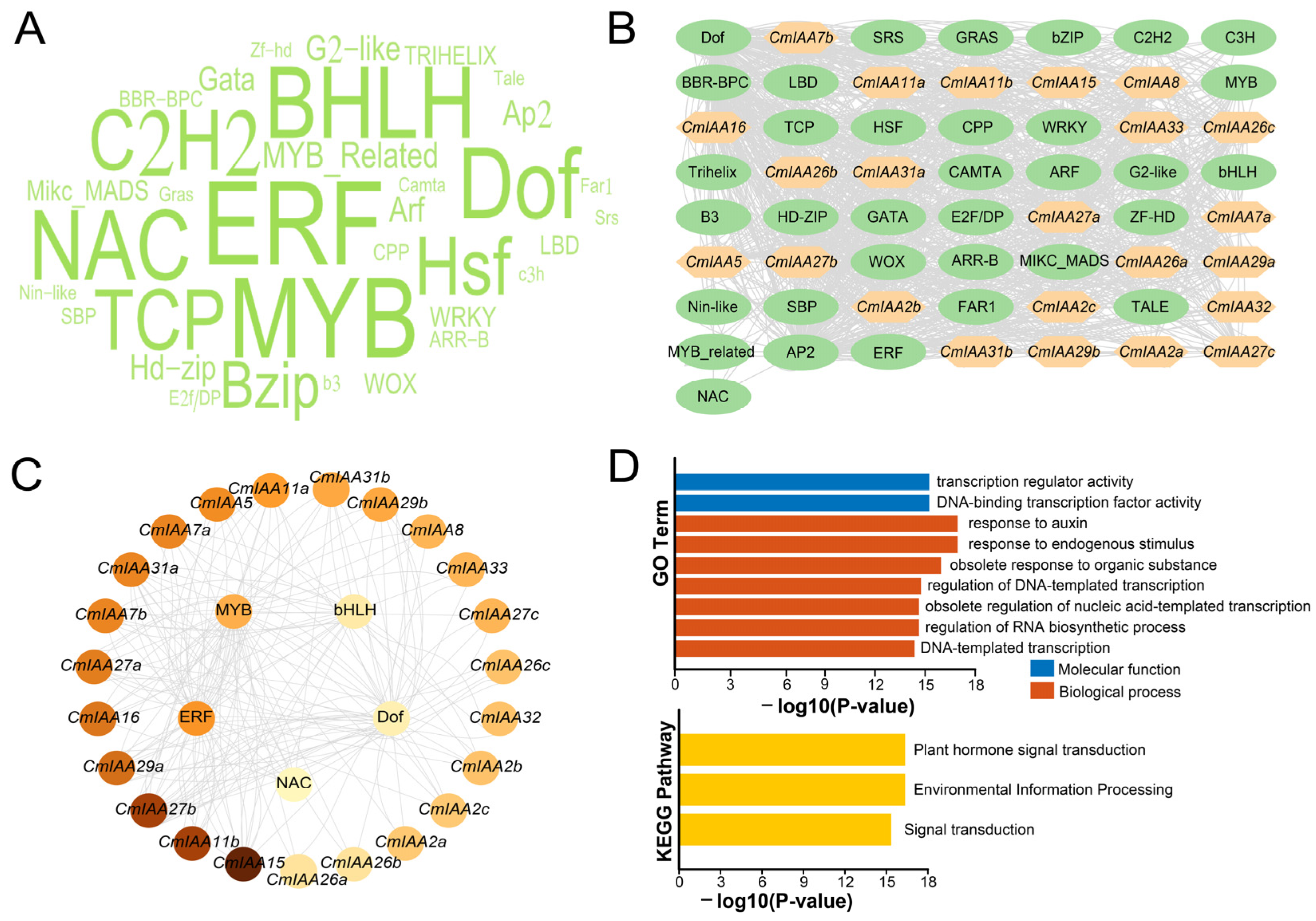 Biology 14 00806 g006