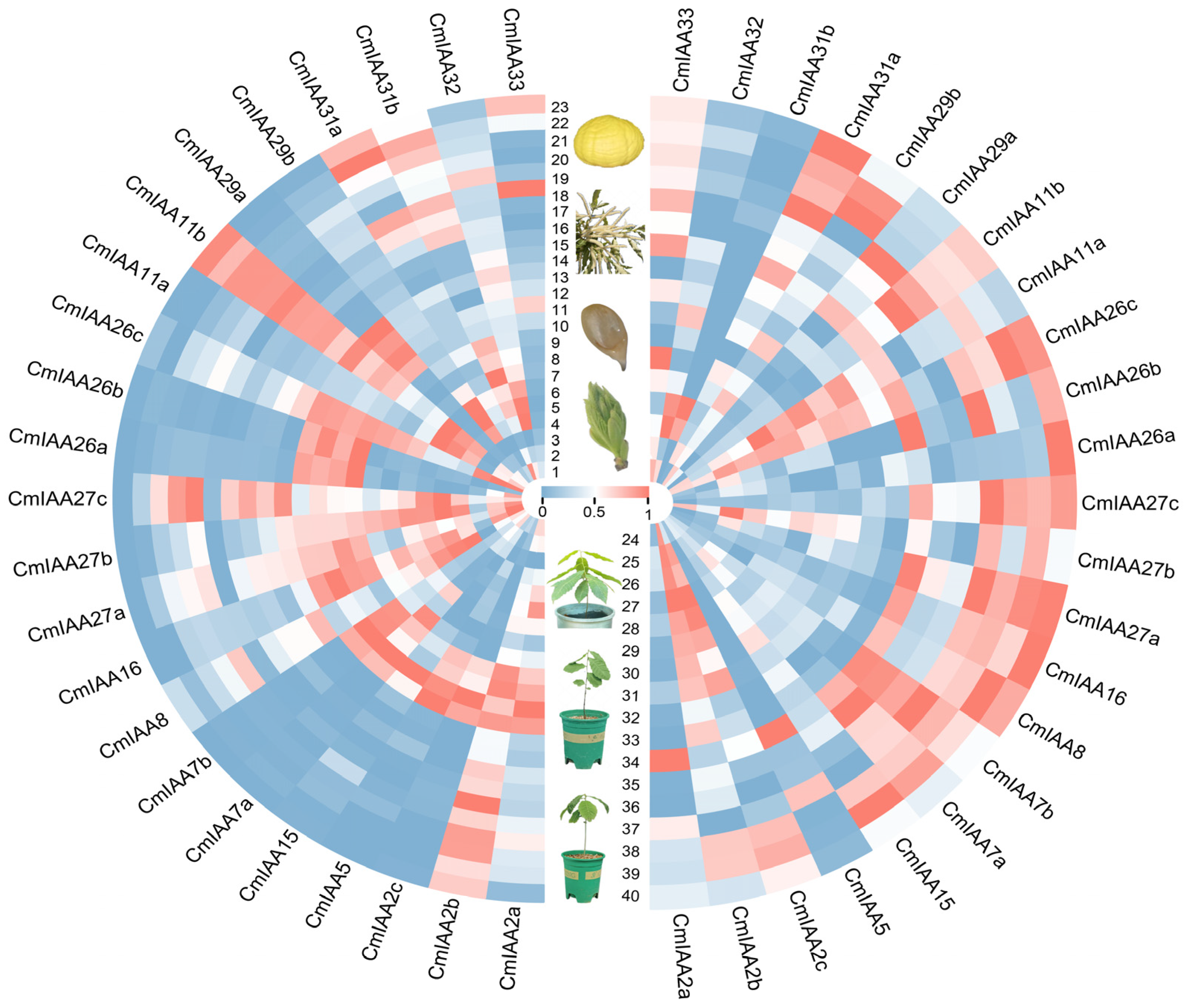 Biology 14 00806 g007