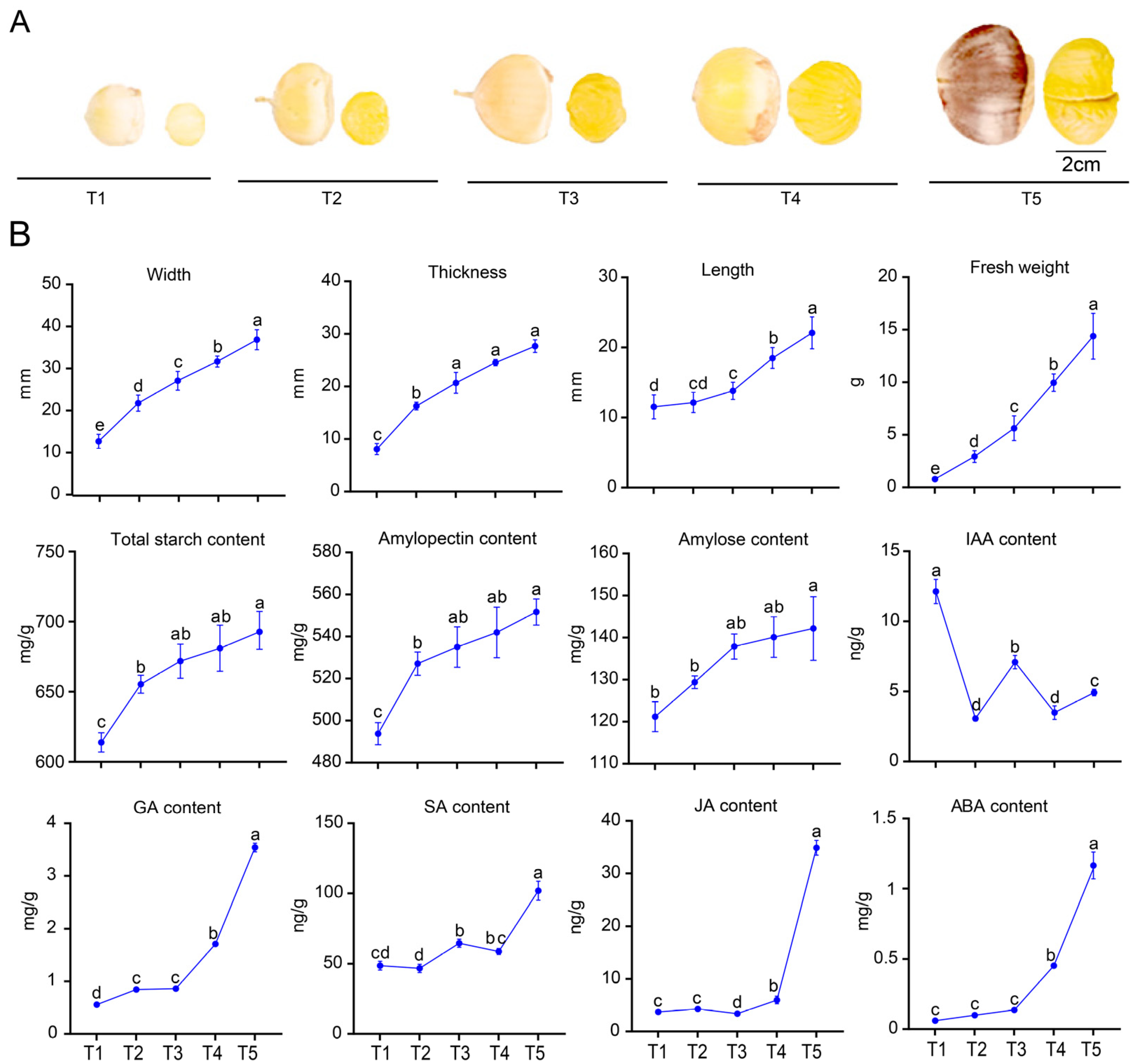 Biology 14 00806 g008