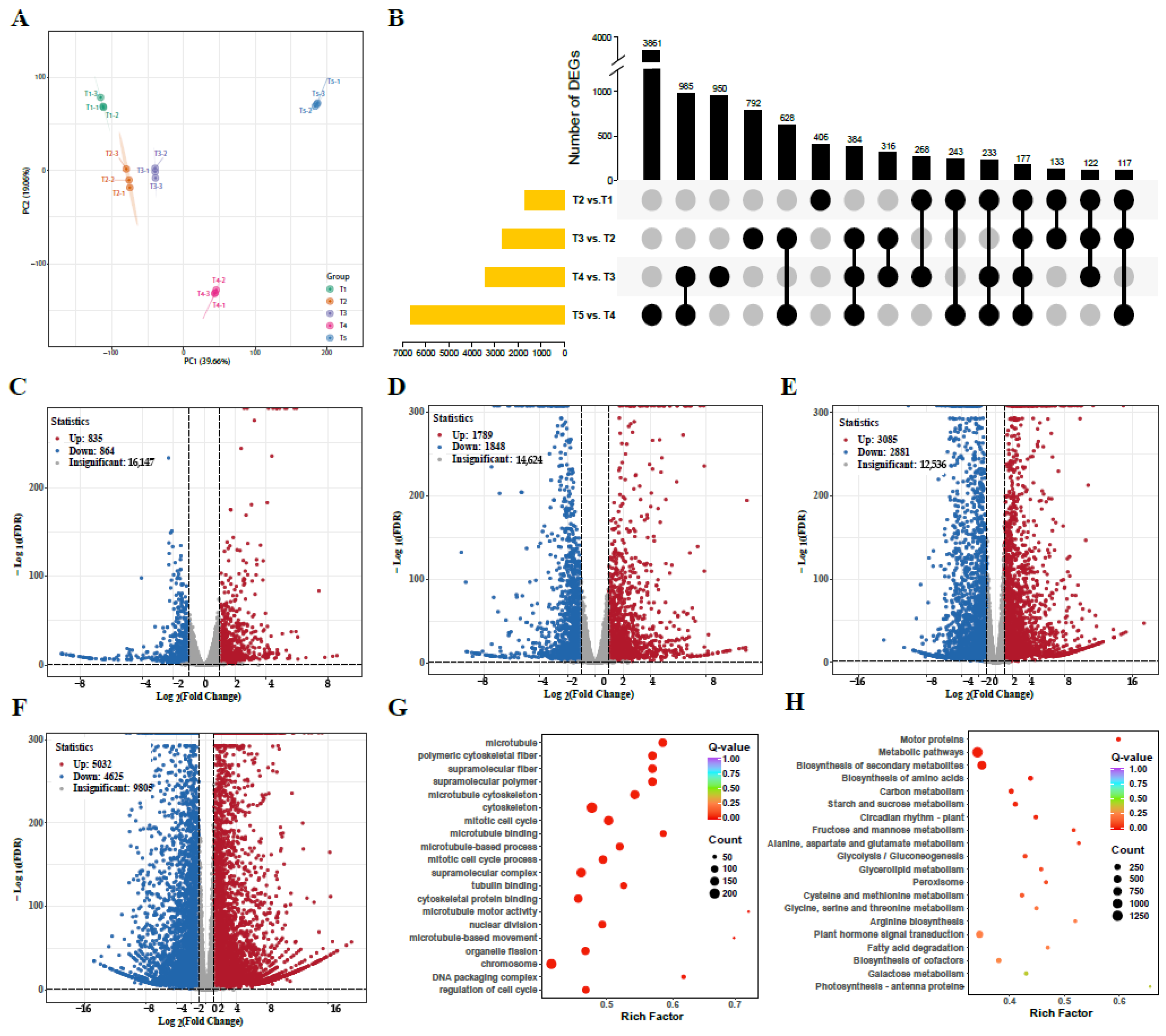 Biology 14 00806 g009