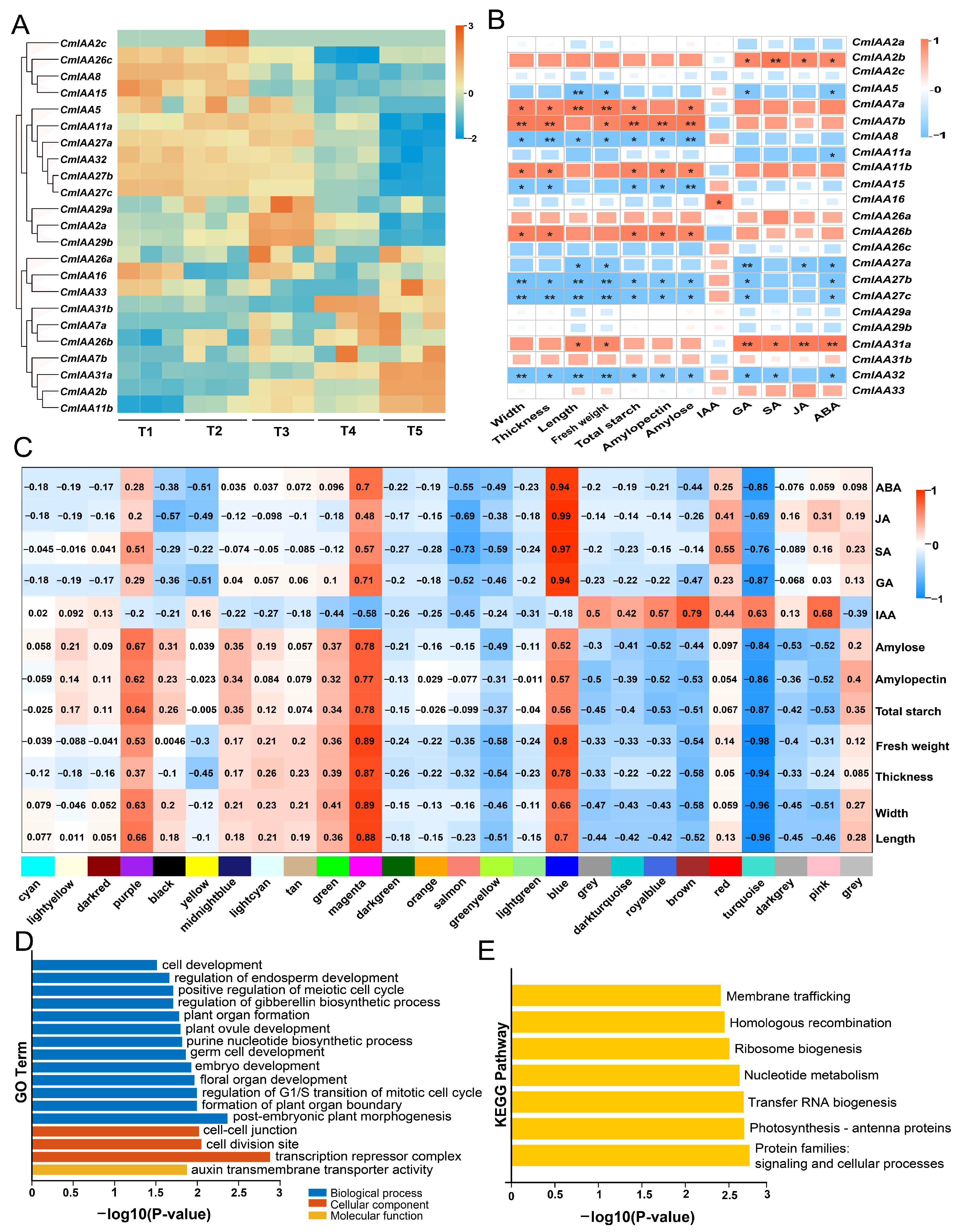 Biology 14 00806 g010