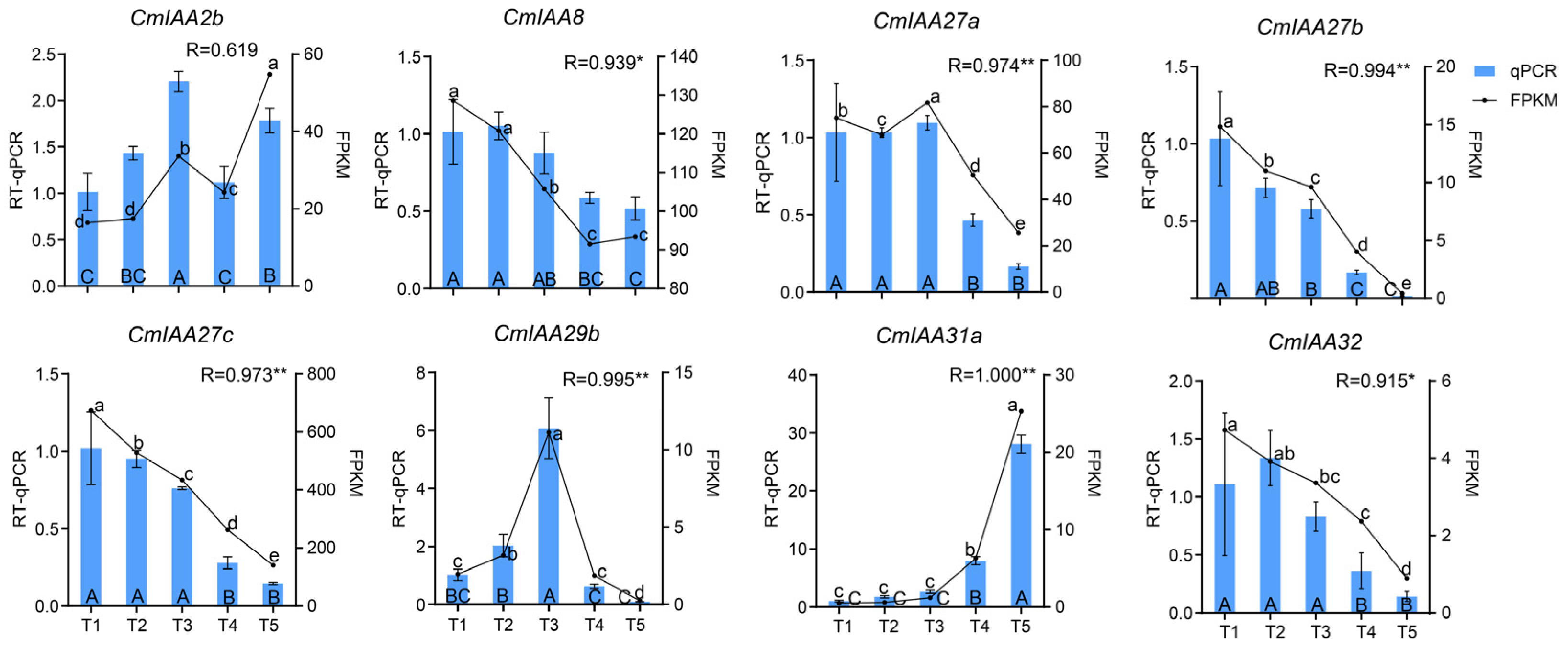 Biology 14 00806 g011