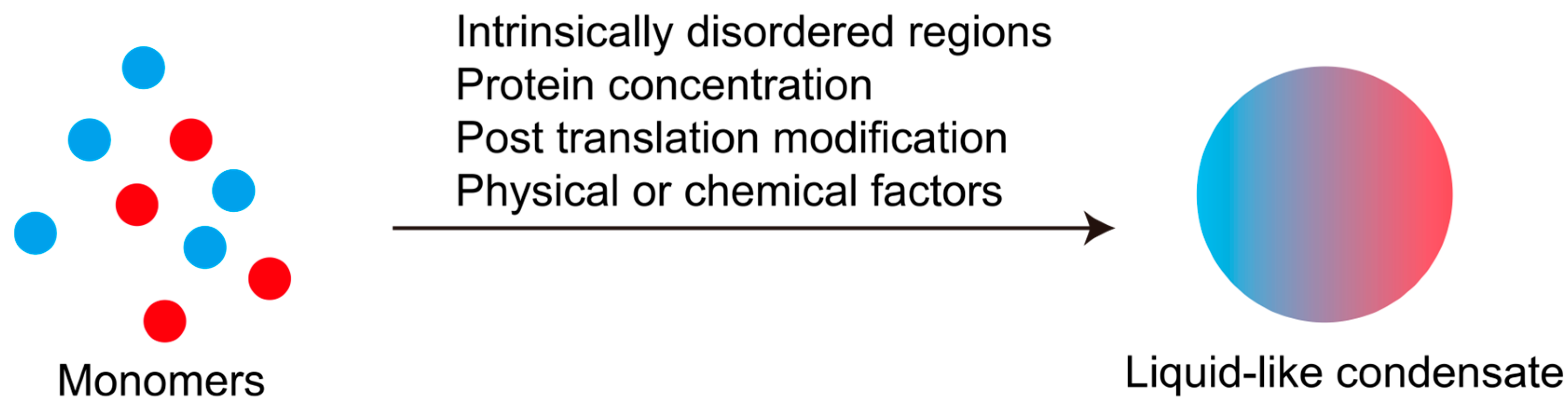 Biology 14 00810 g002