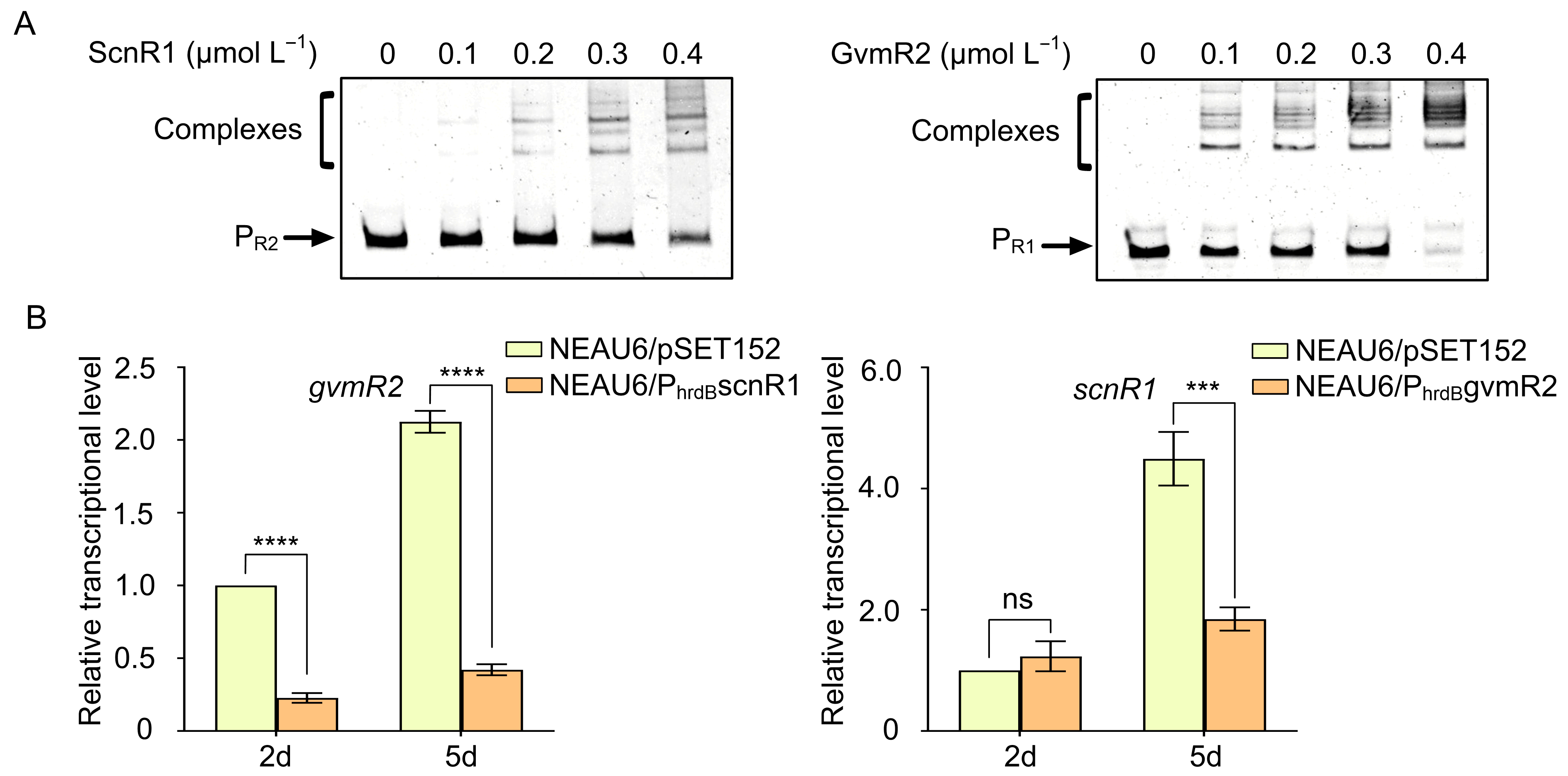 Biology 14 00813 g005