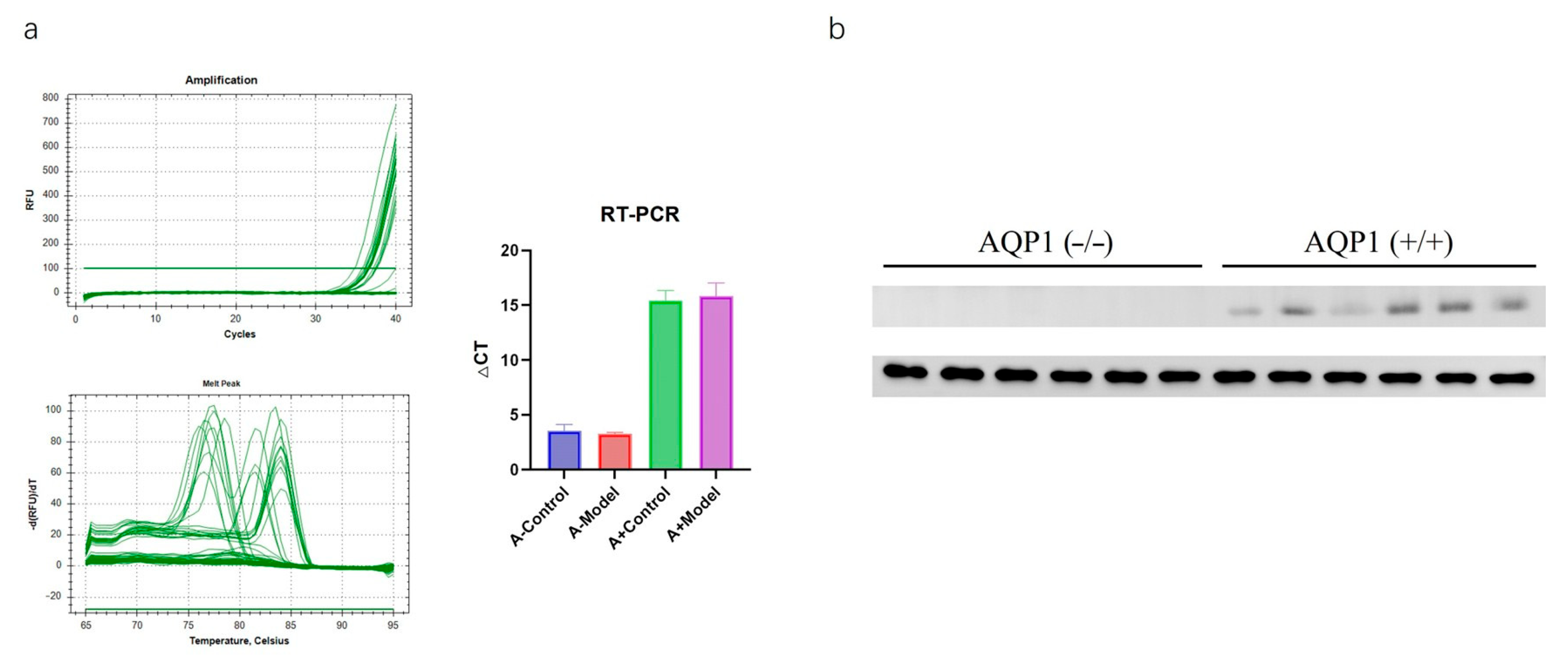 Biology 14 00815 g001