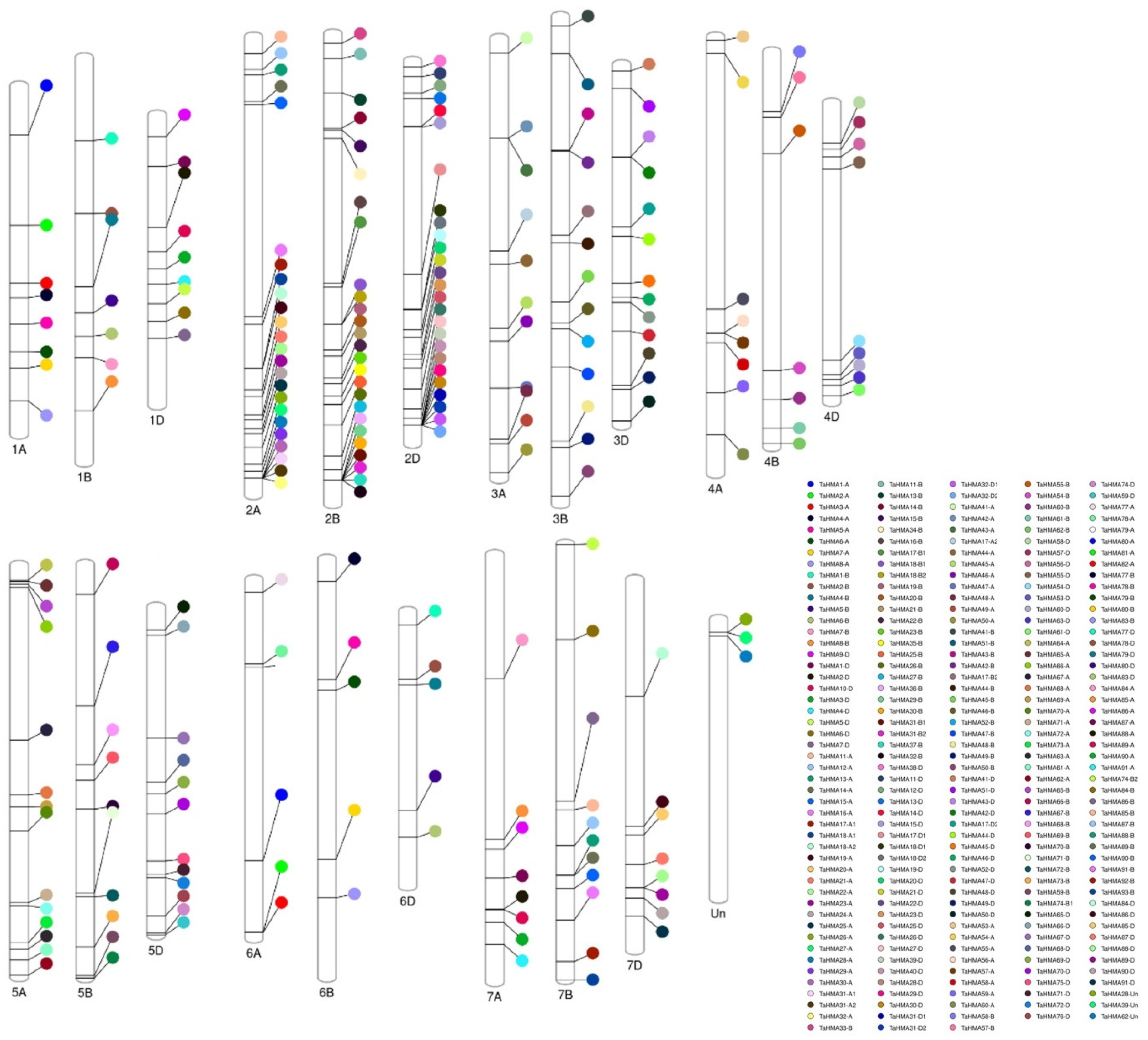 Biology 14 00818 g001