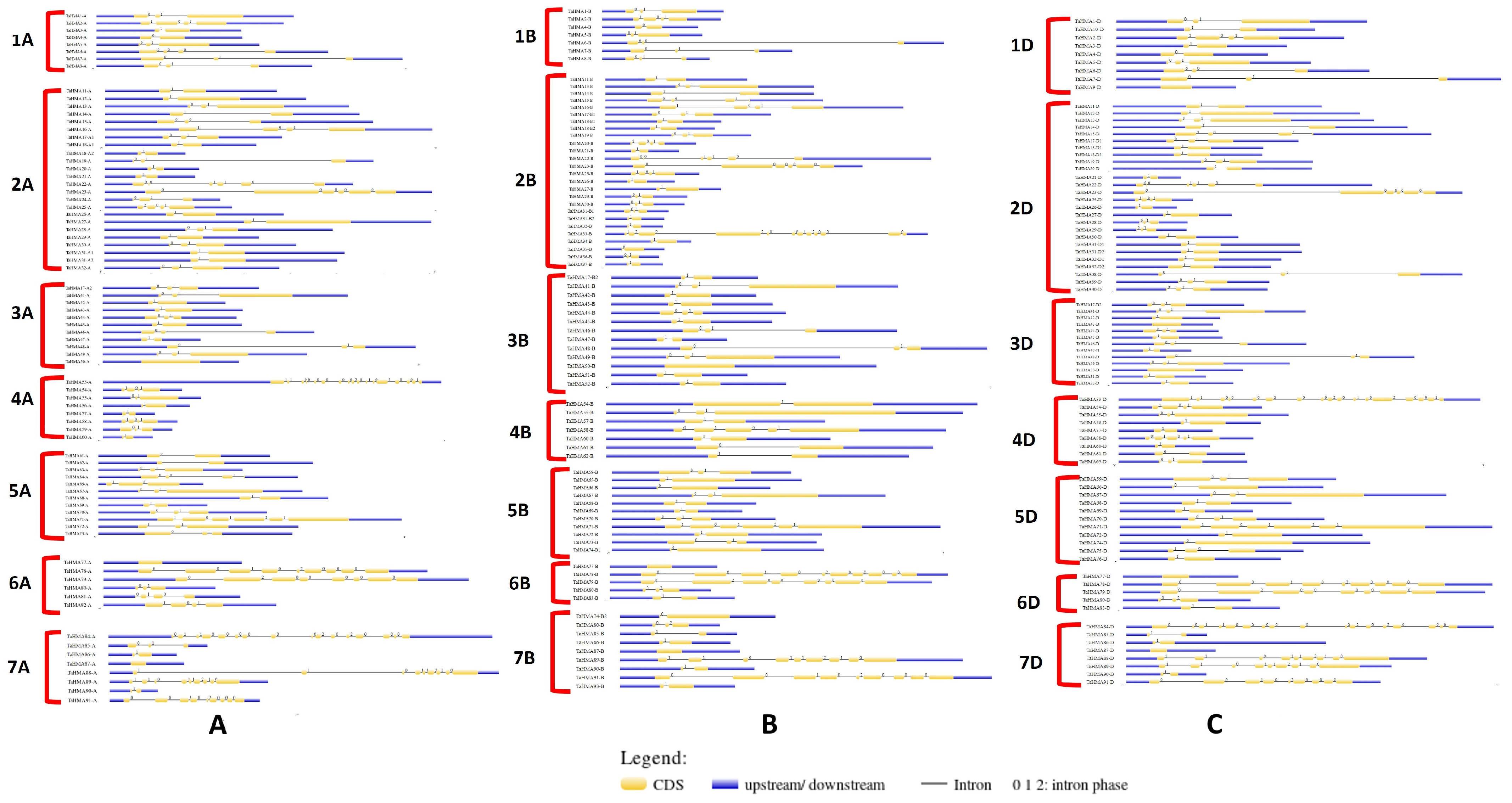 Biology 14 00818 g002