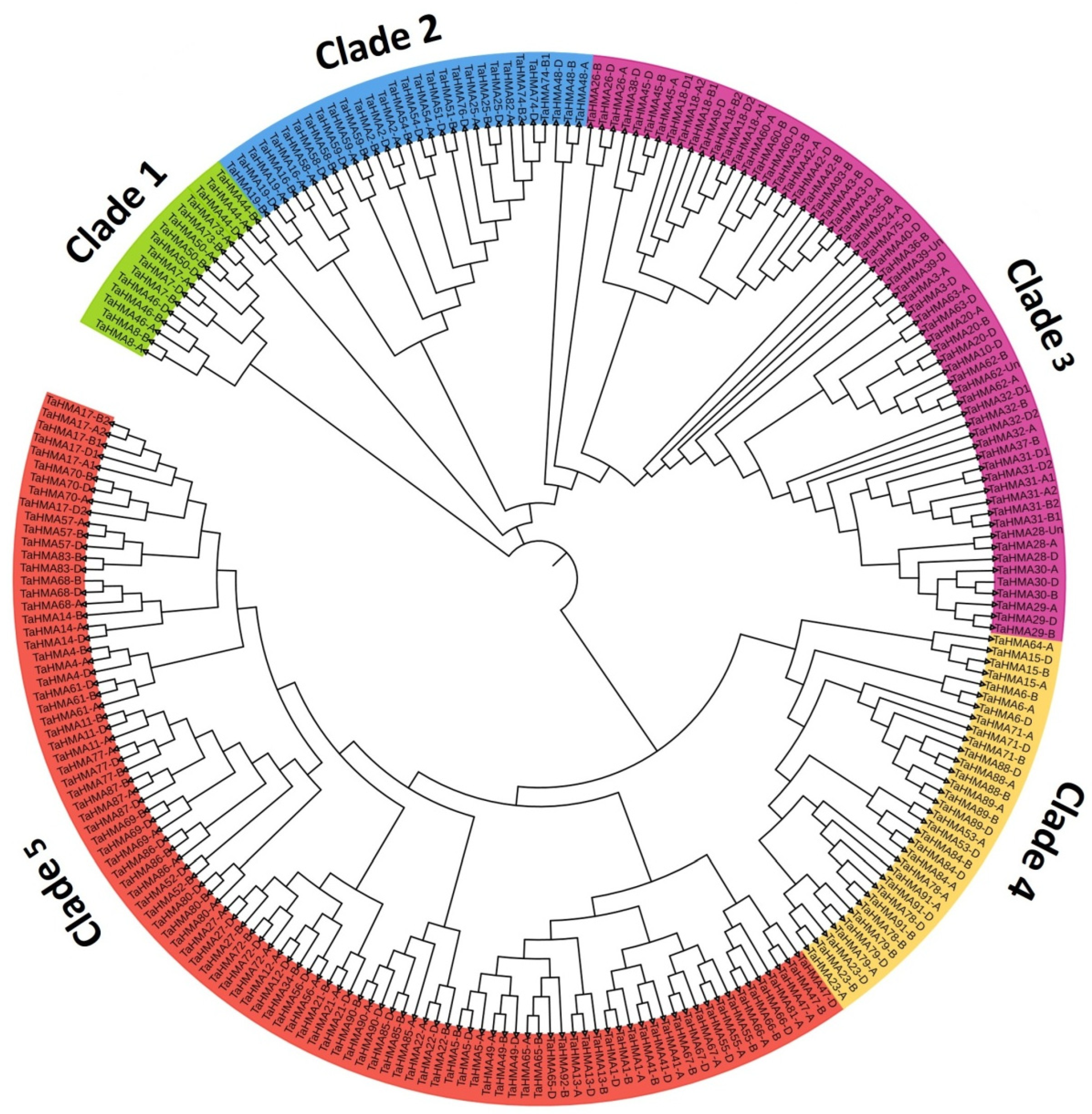 Biology 14 00818 g004