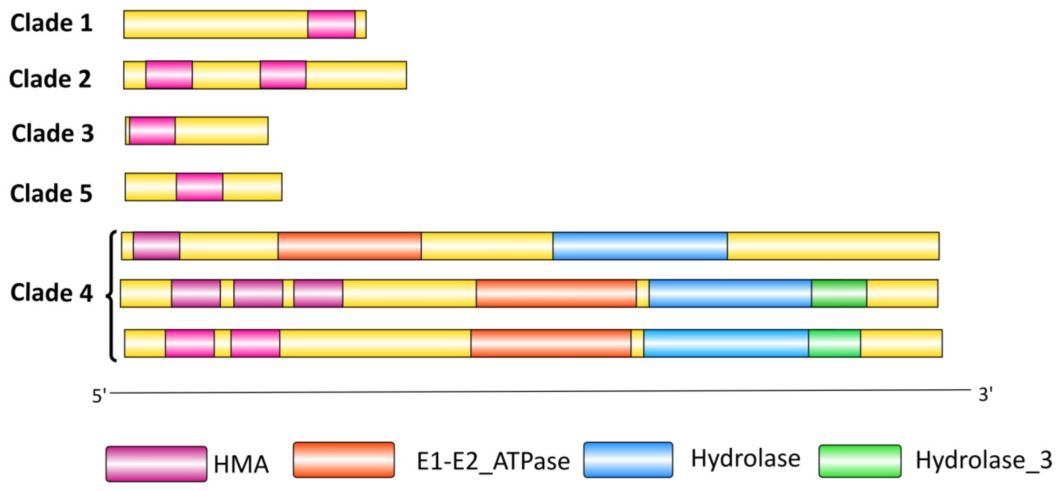 Biology 14 00818 g005