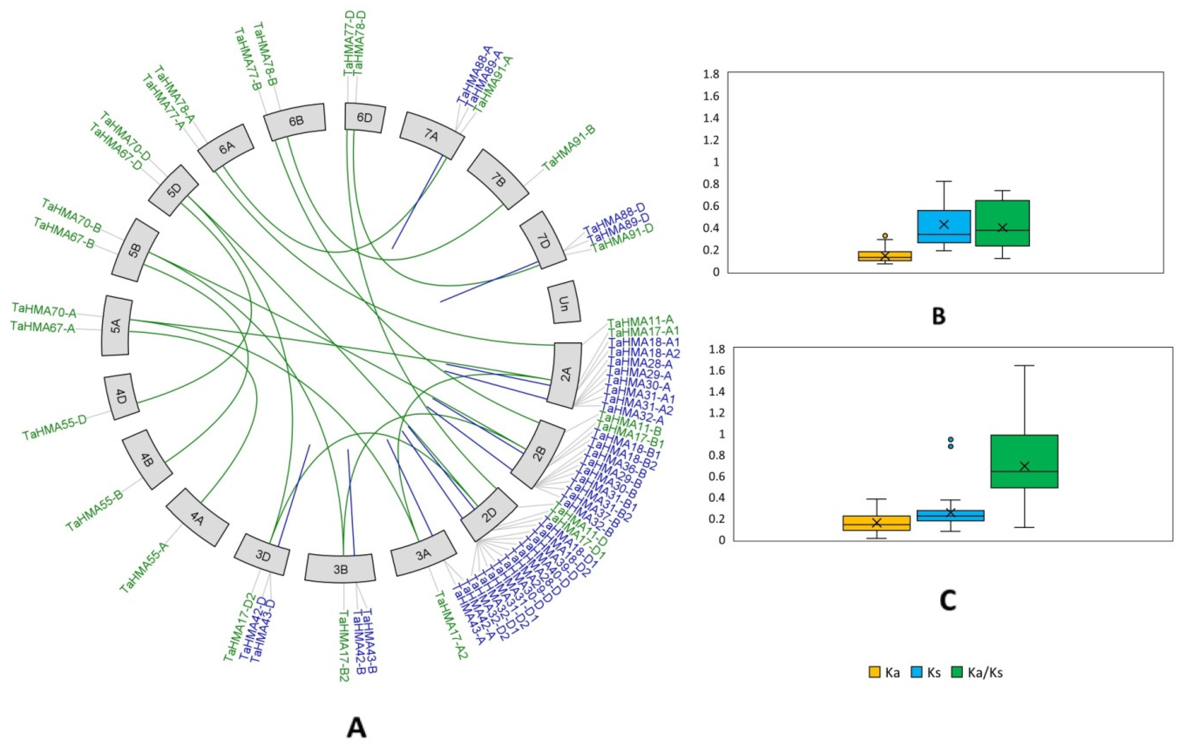 Biology 14 00818 g006