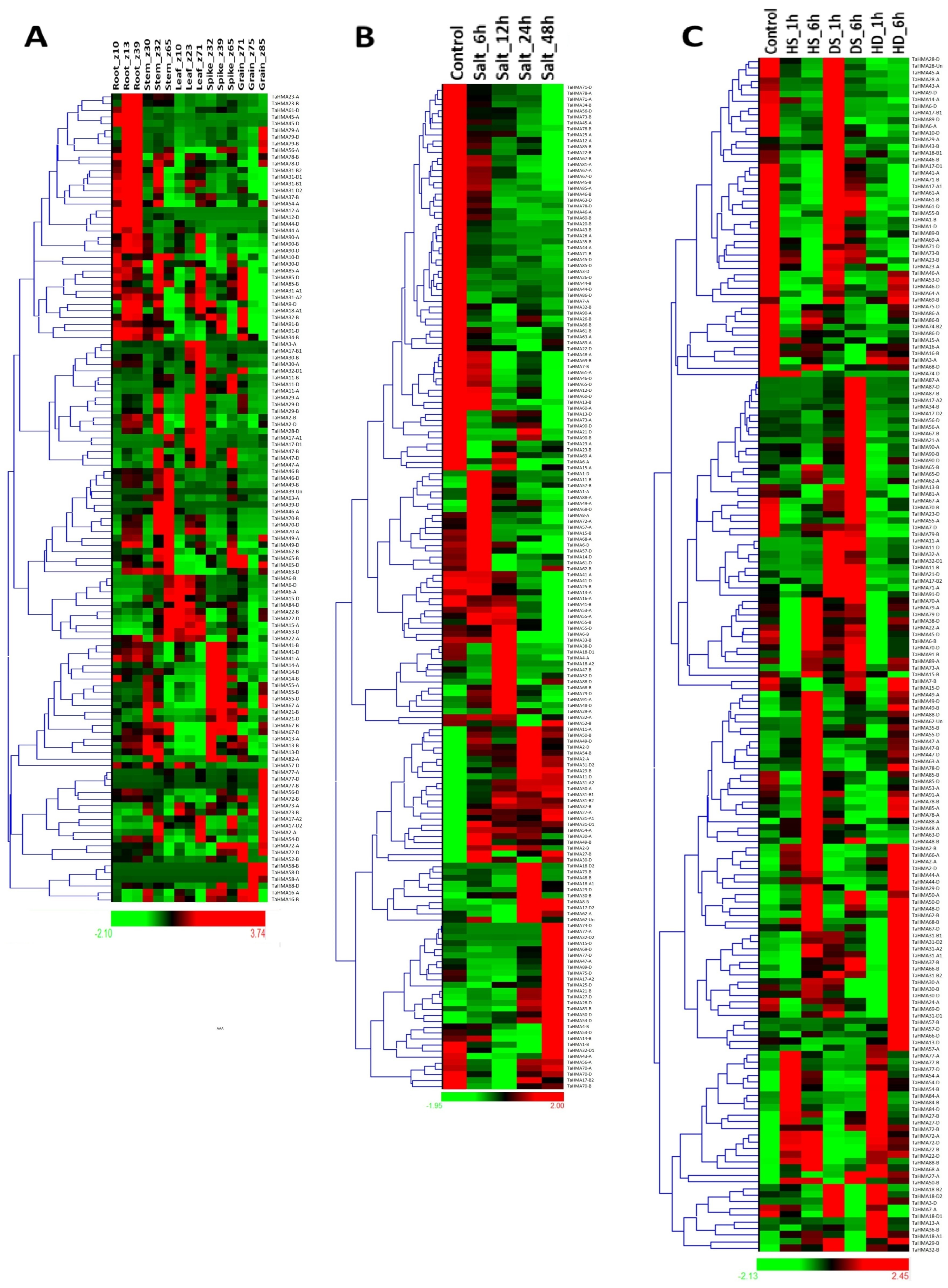 Biology 14 00818 g008