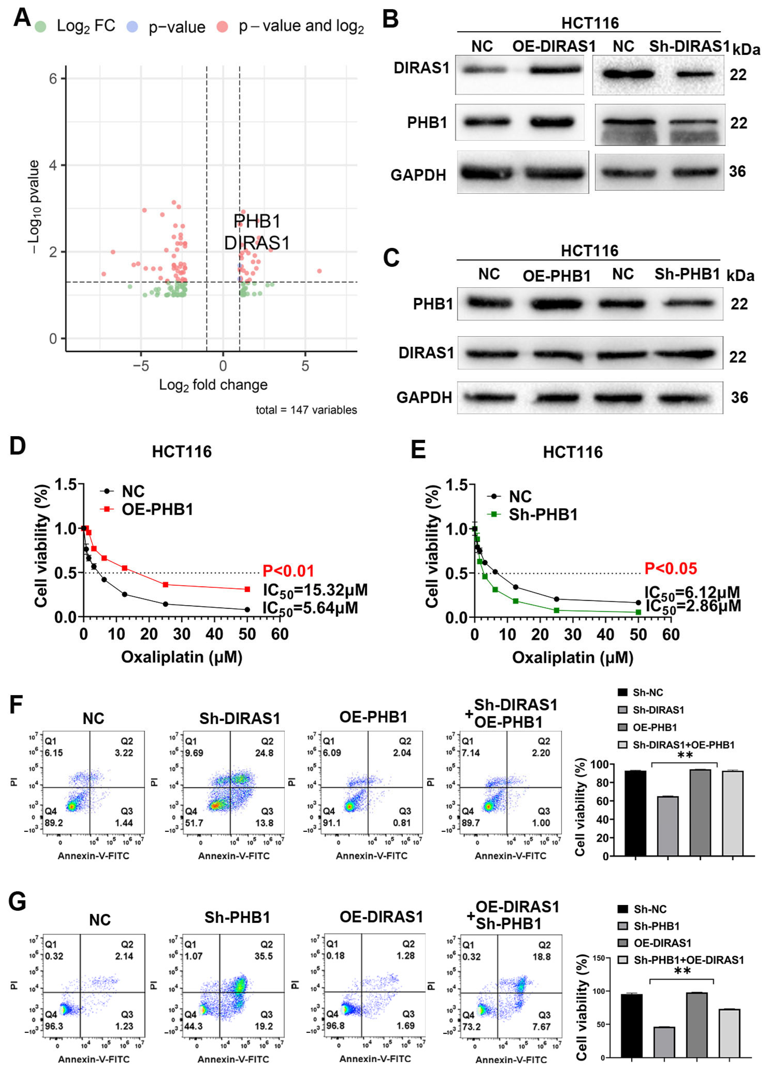 Biology 14 00819 g005