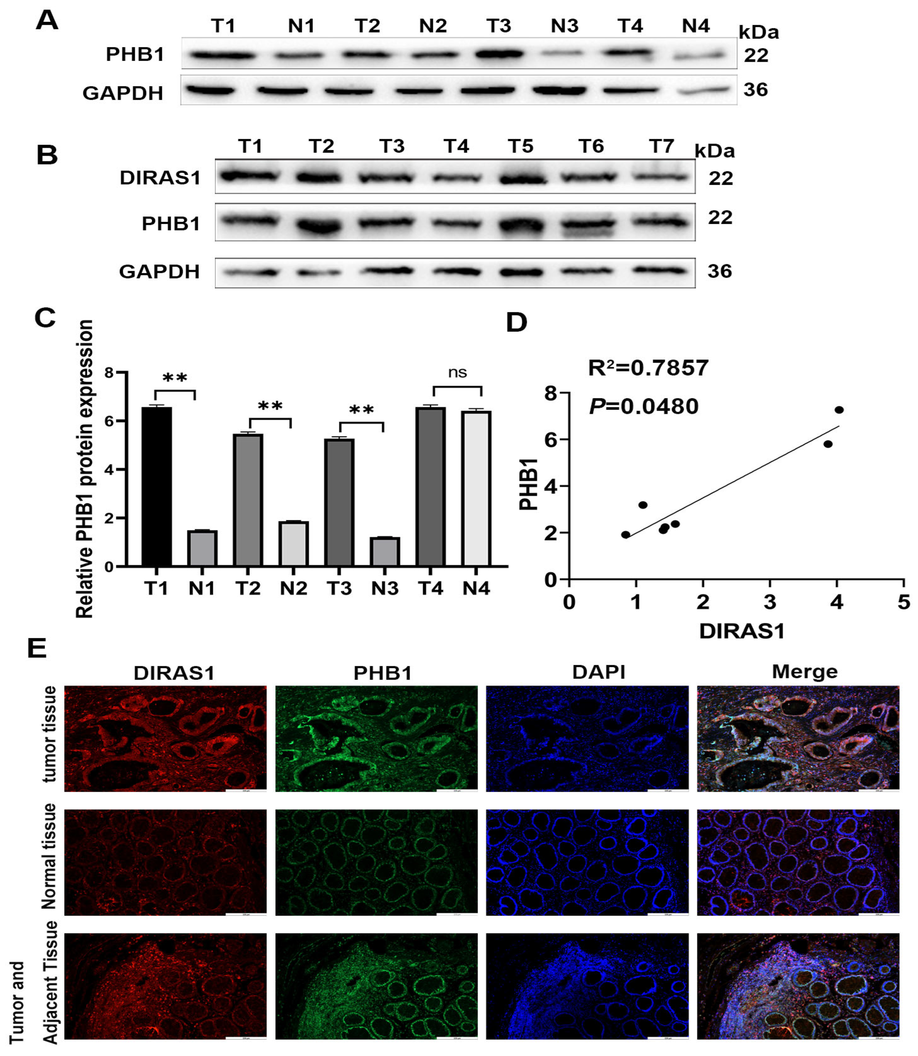 Biology 14 00819 g006