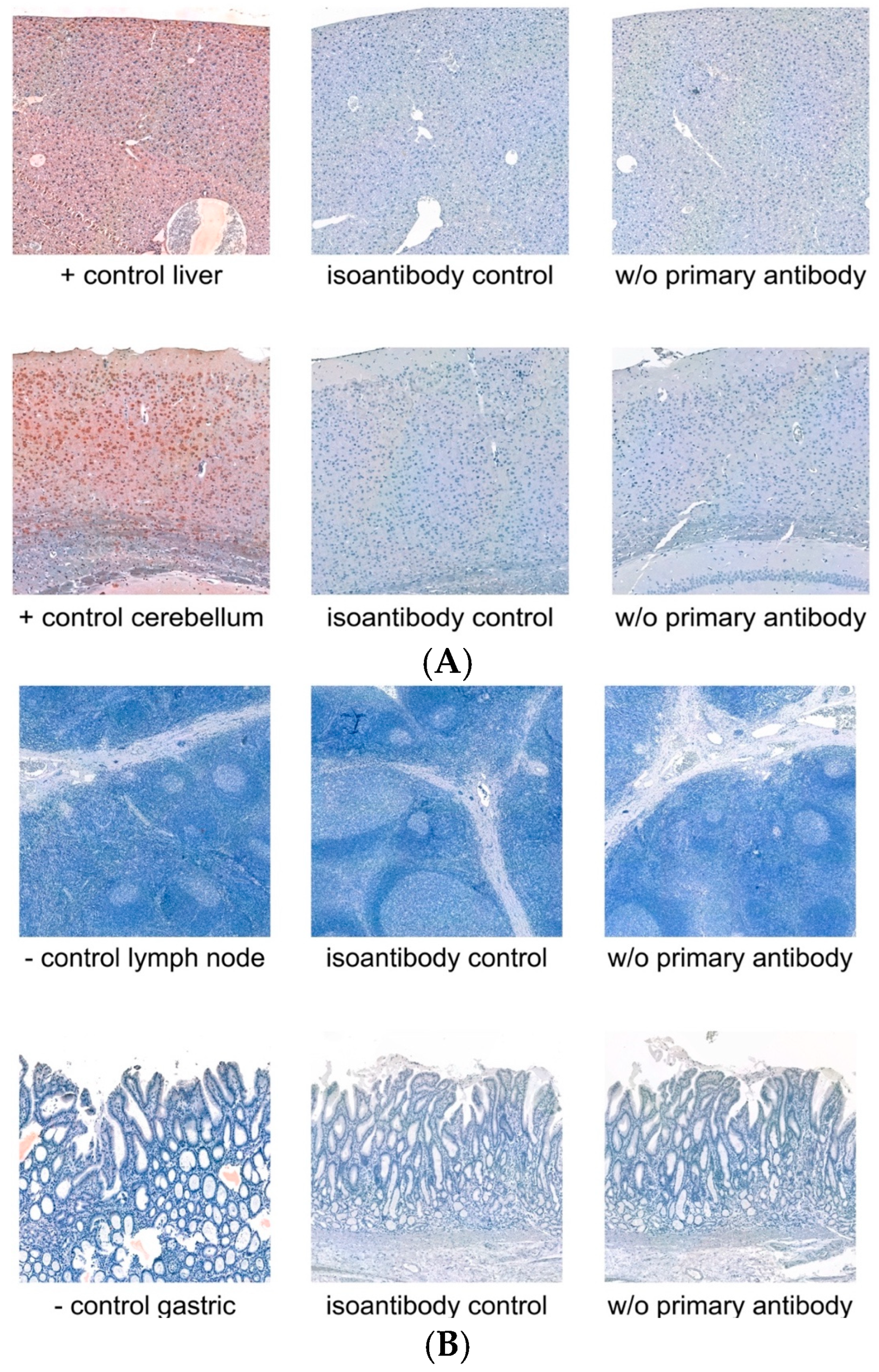 Biology 14 00823 g001