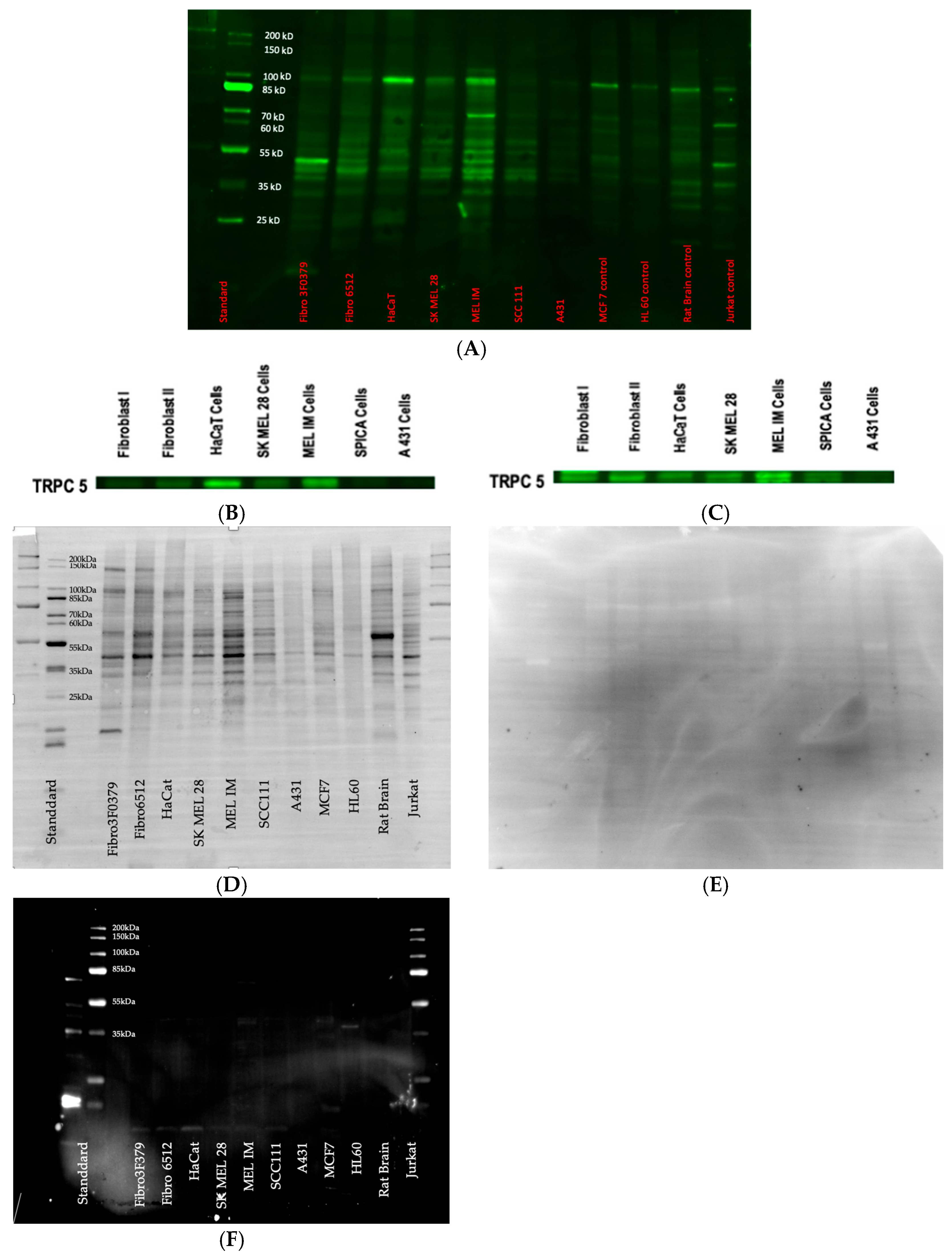 Biology 14 00823 g003