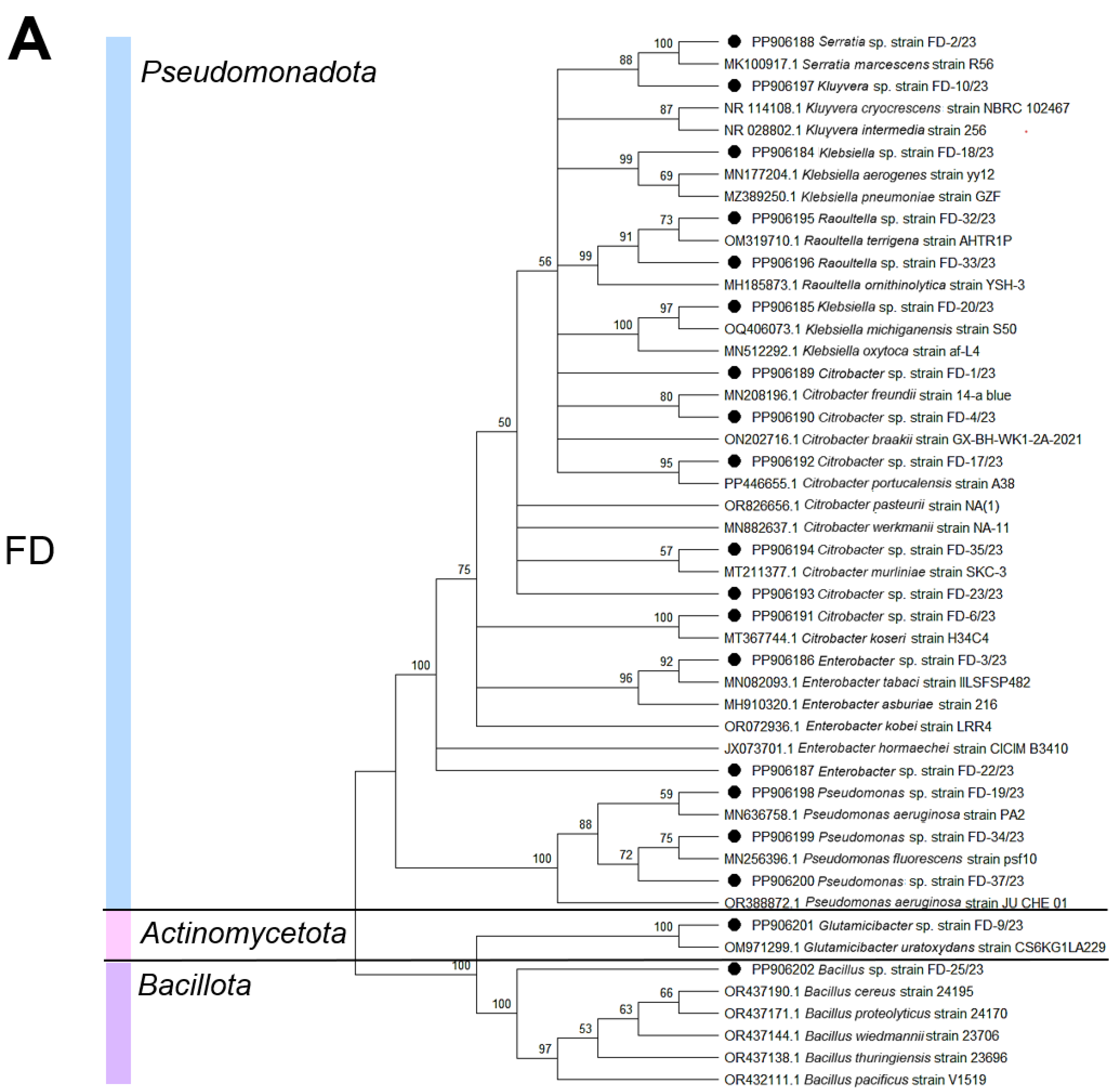 Biology 14 00824 g002a