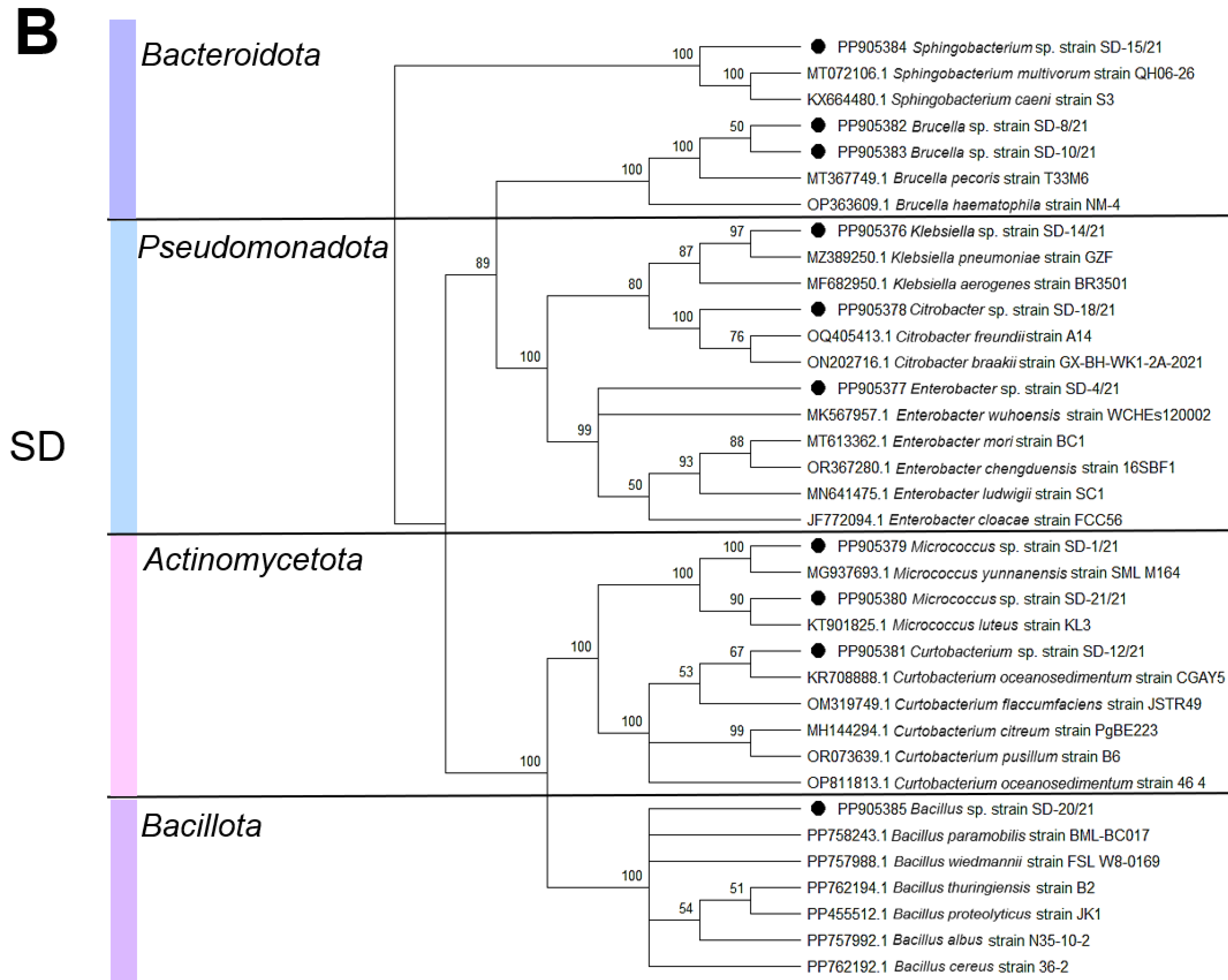 Biology 14 00824 g002b