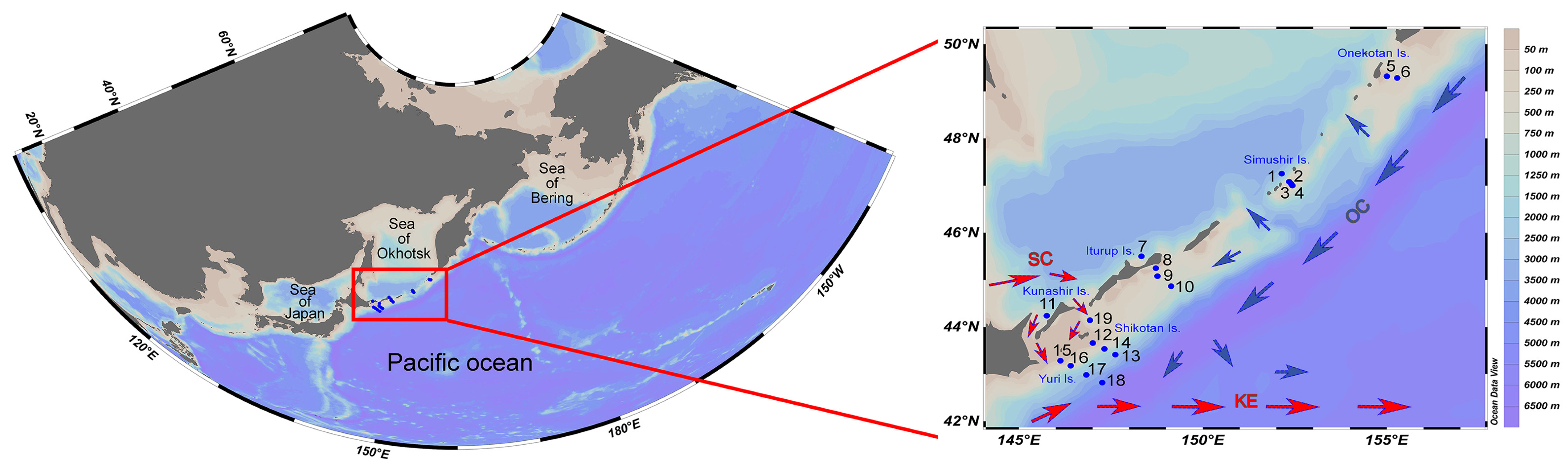 Biology 14 00827 g001