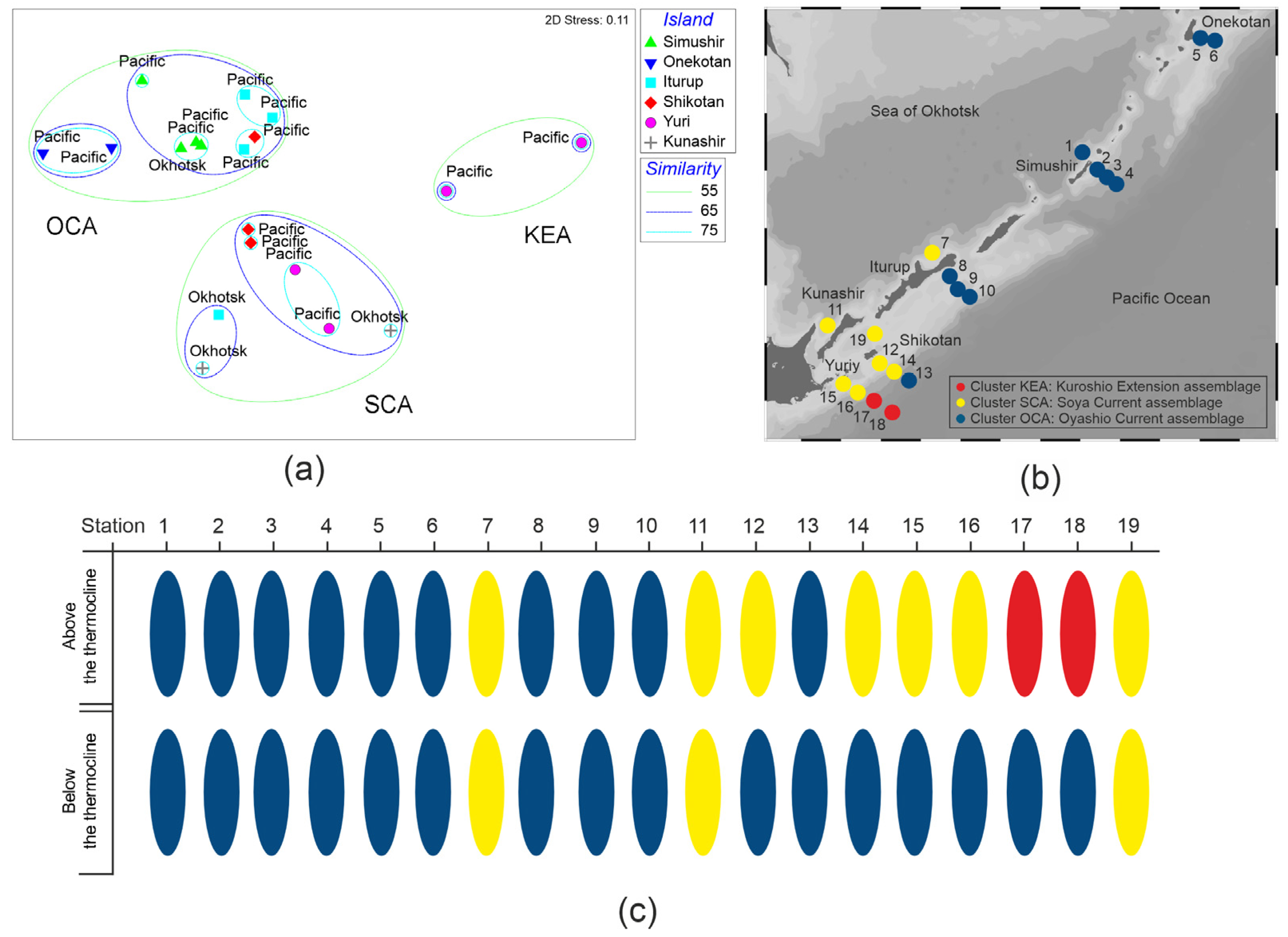Biology 14 00827 g006