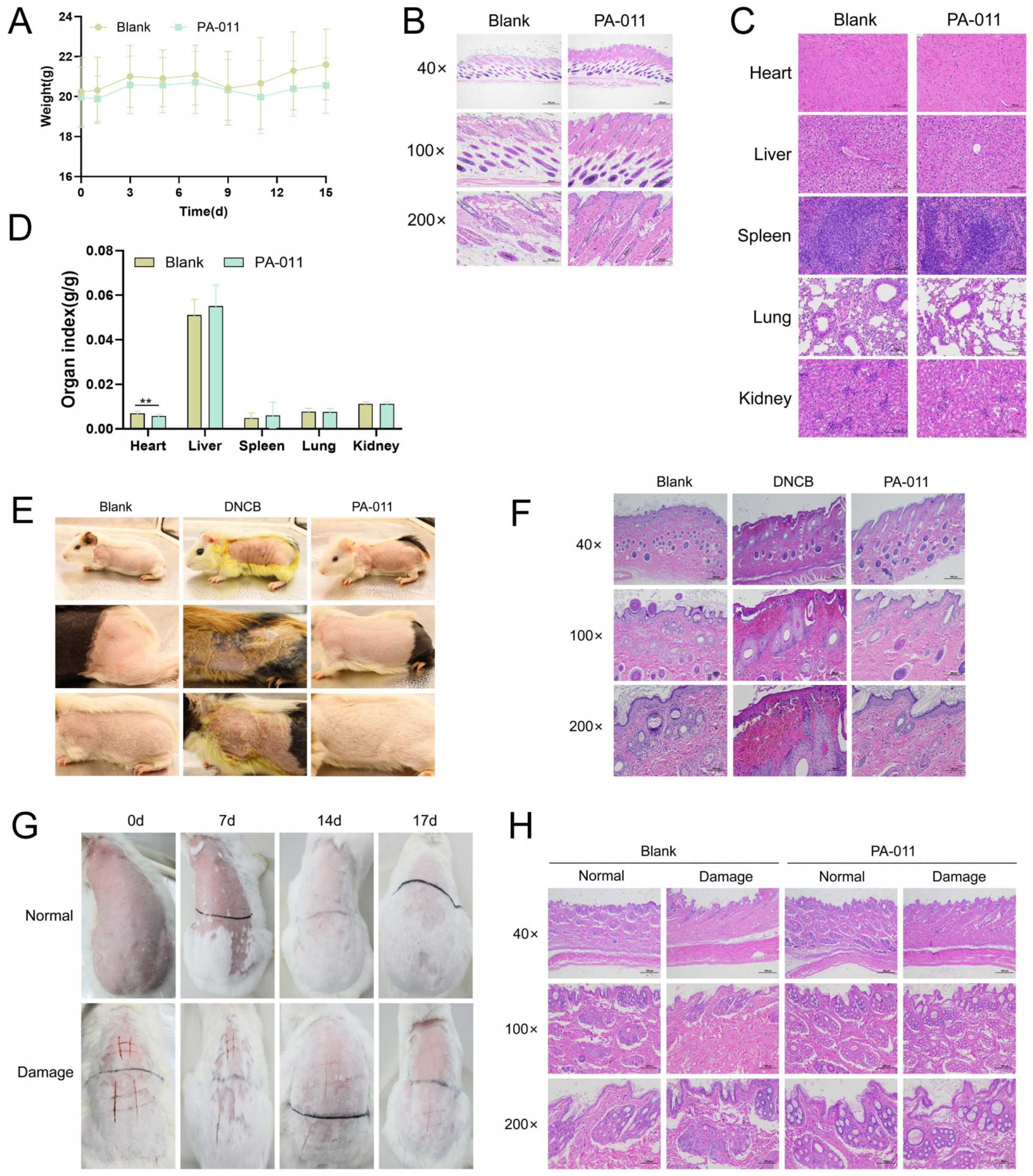 Biology 14 00831 g024