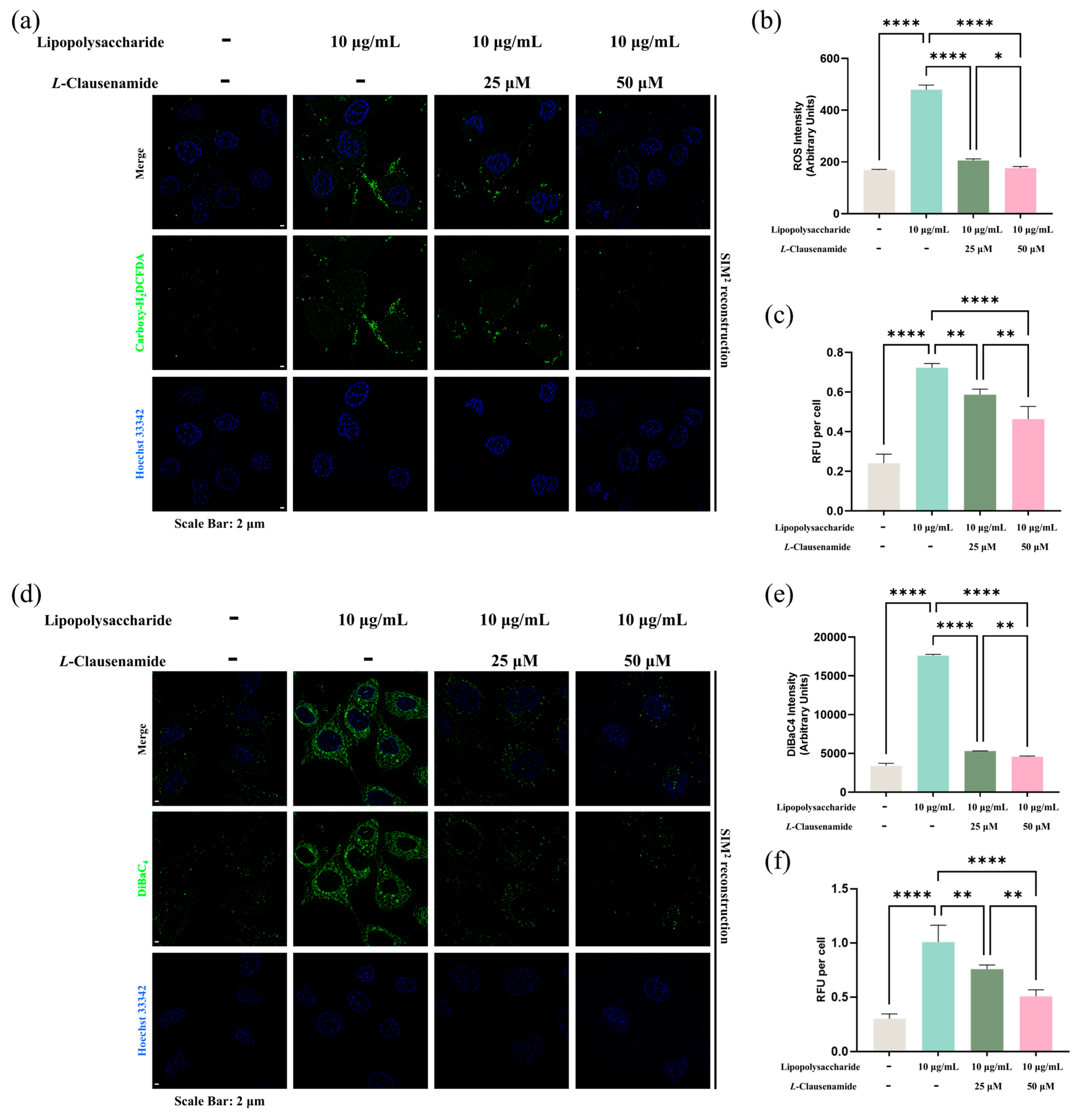 Biology 14 00836 g005
