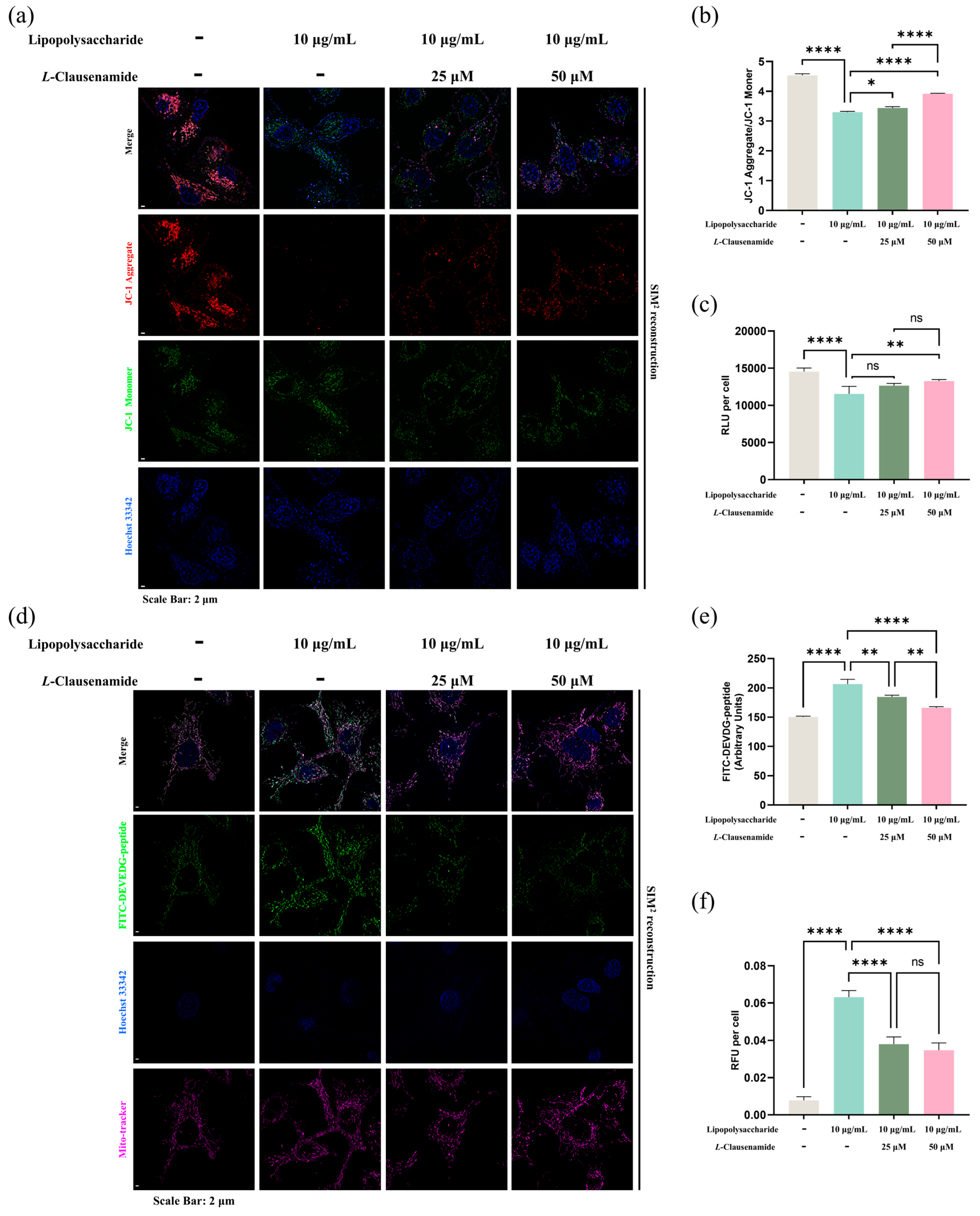 Biology 14 00836 g006