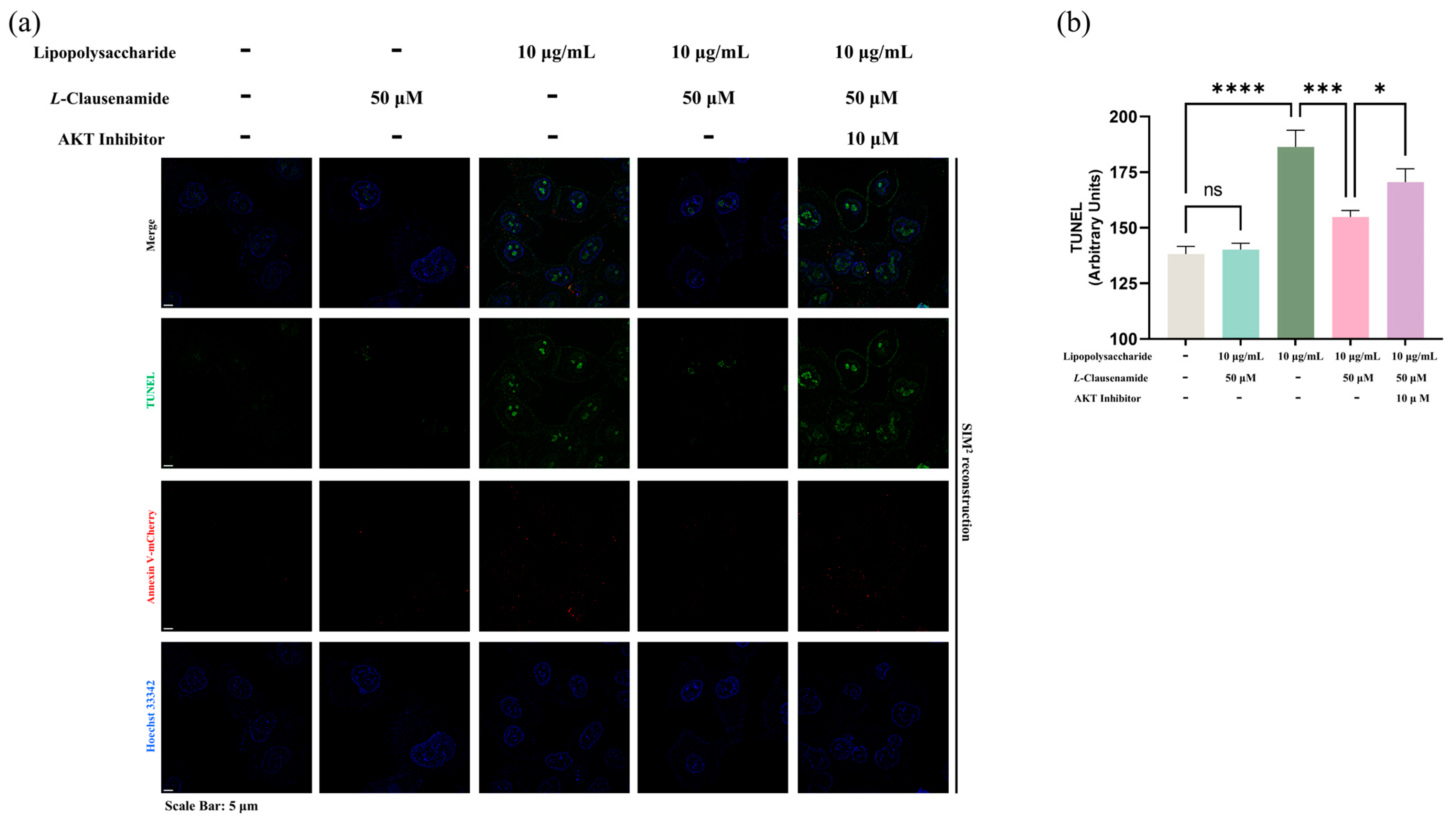 Biology 14 00836 g010