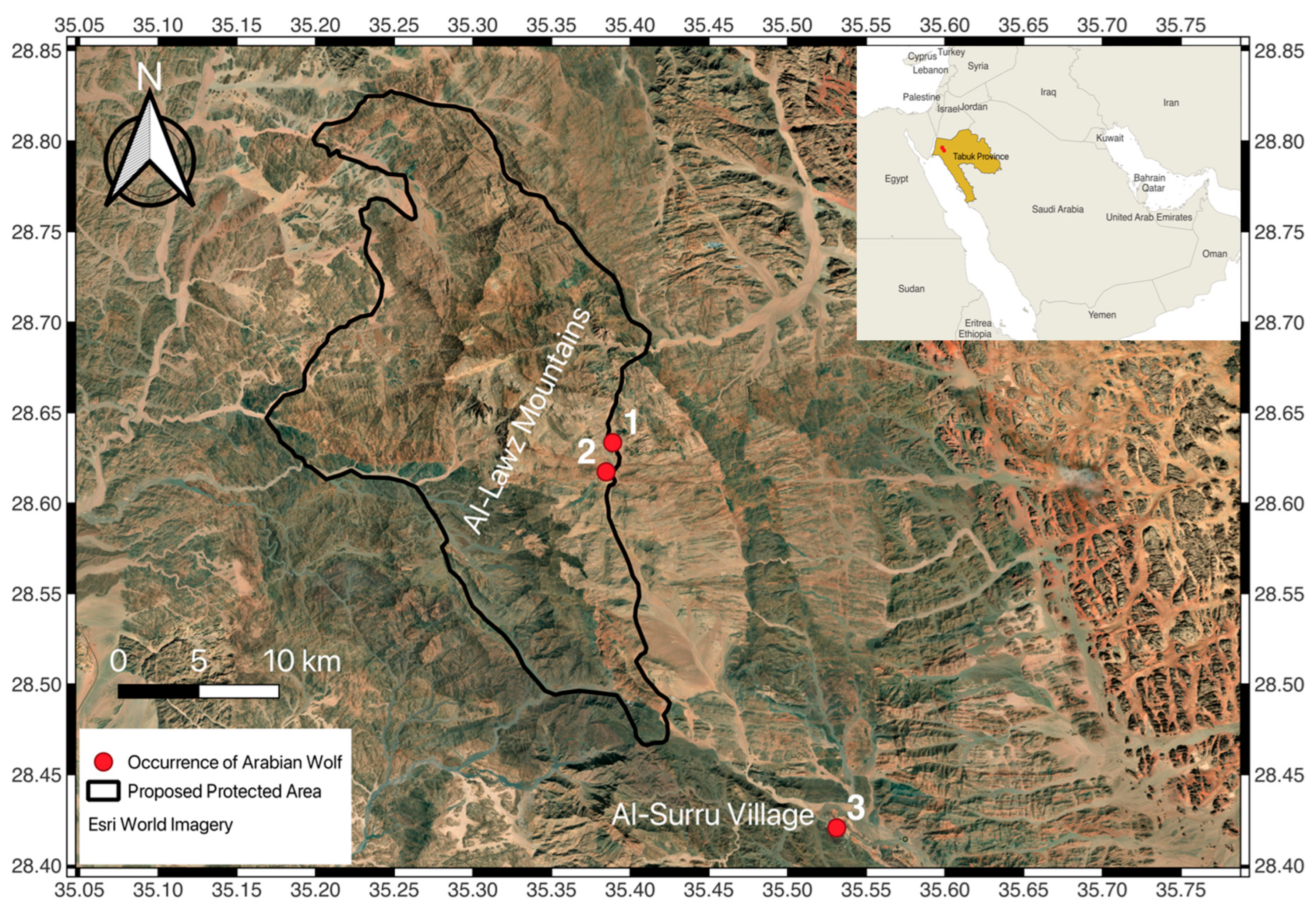 Biology 14 00839 g001